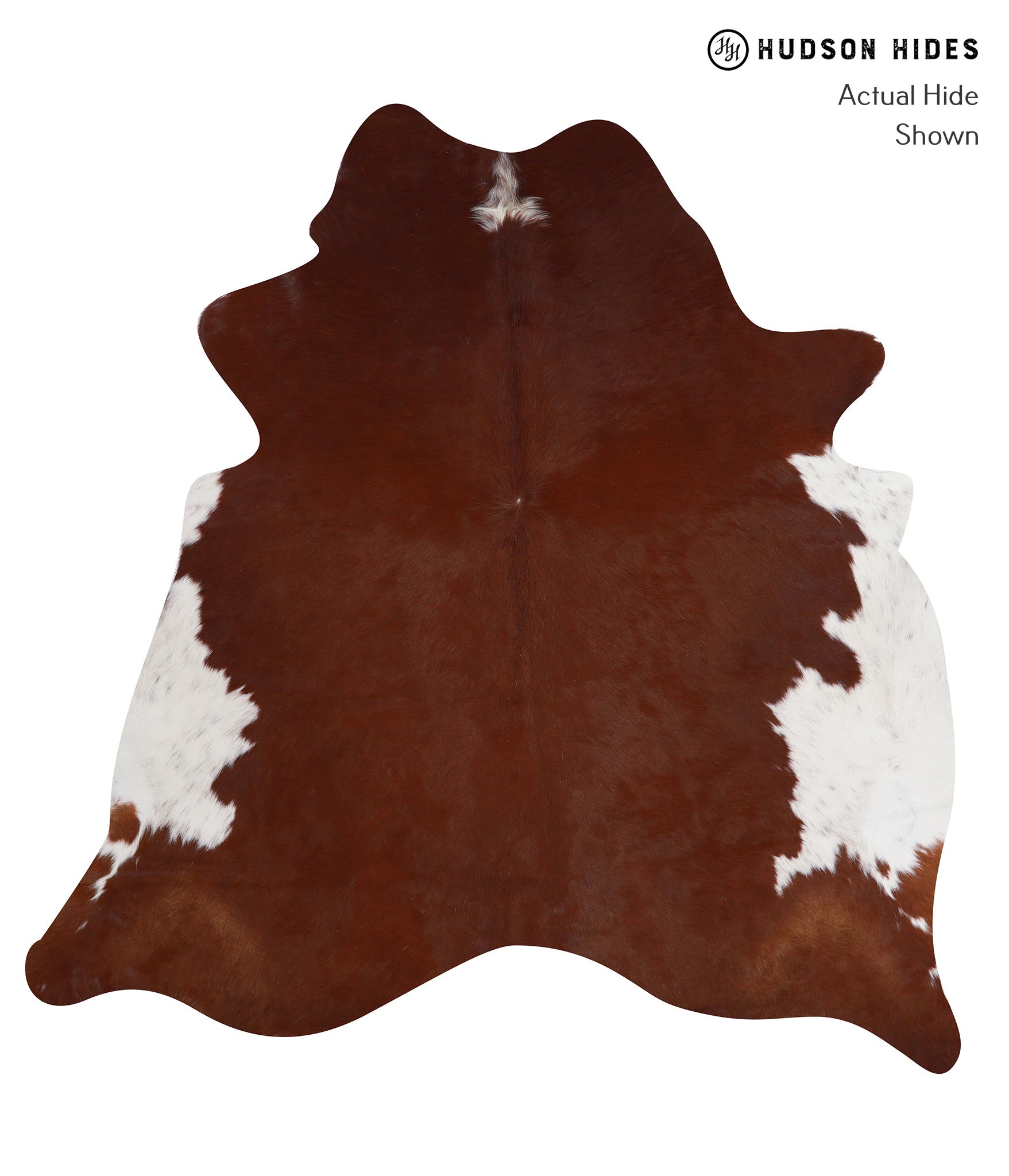 Brown and White Regular Cowhide Rug #A3387