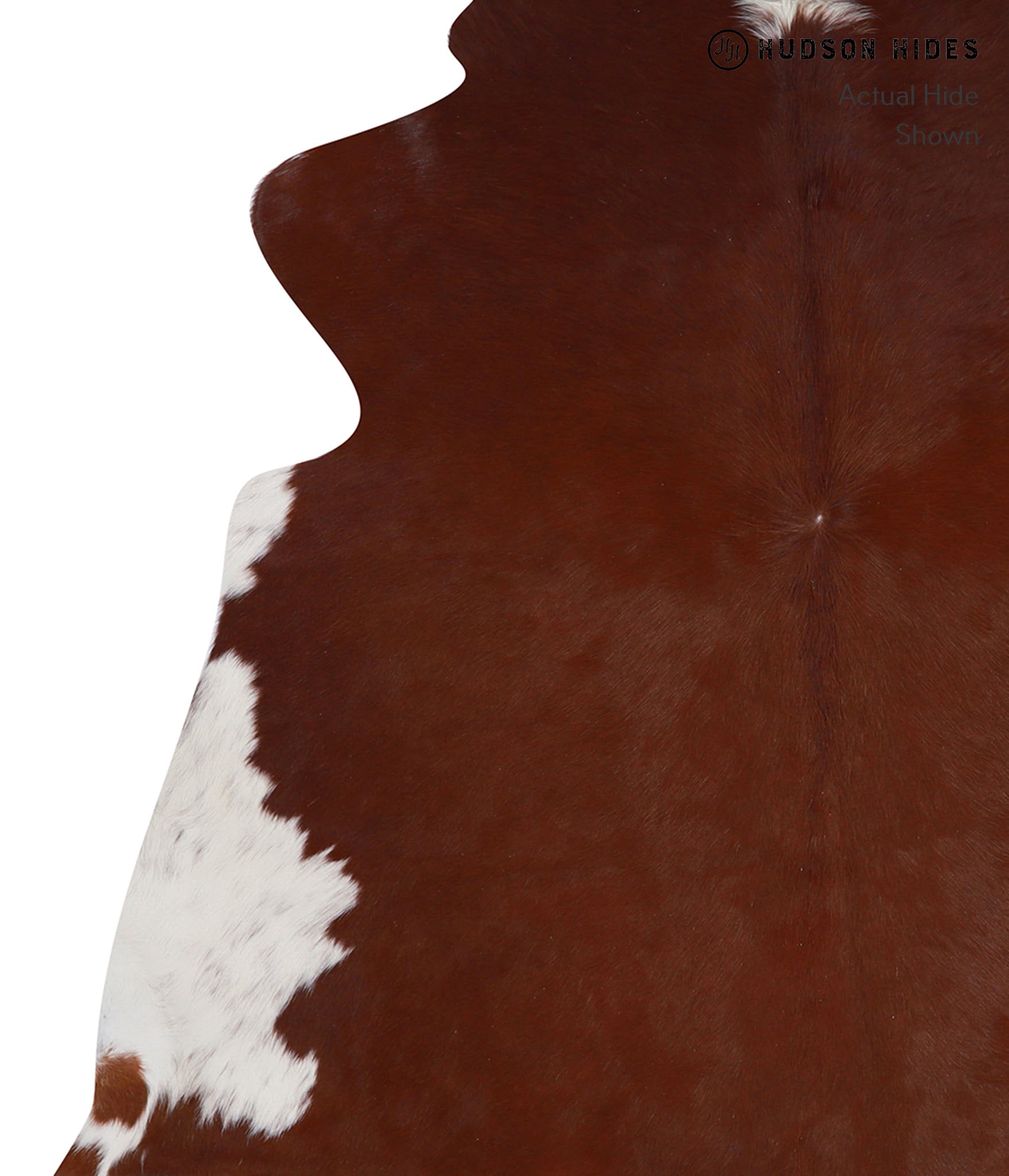 Brown and White Regular Cowhide Rug #A3387