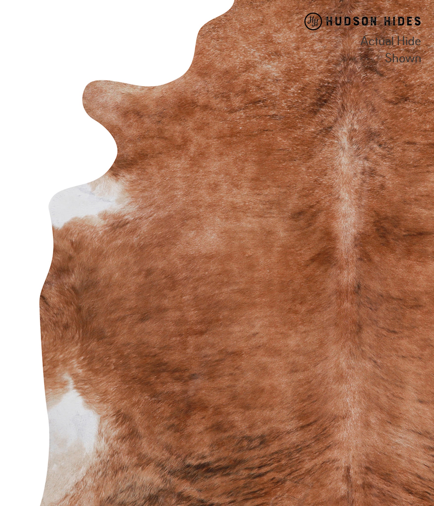 Medium Brindle Cowhide Rug #A3389