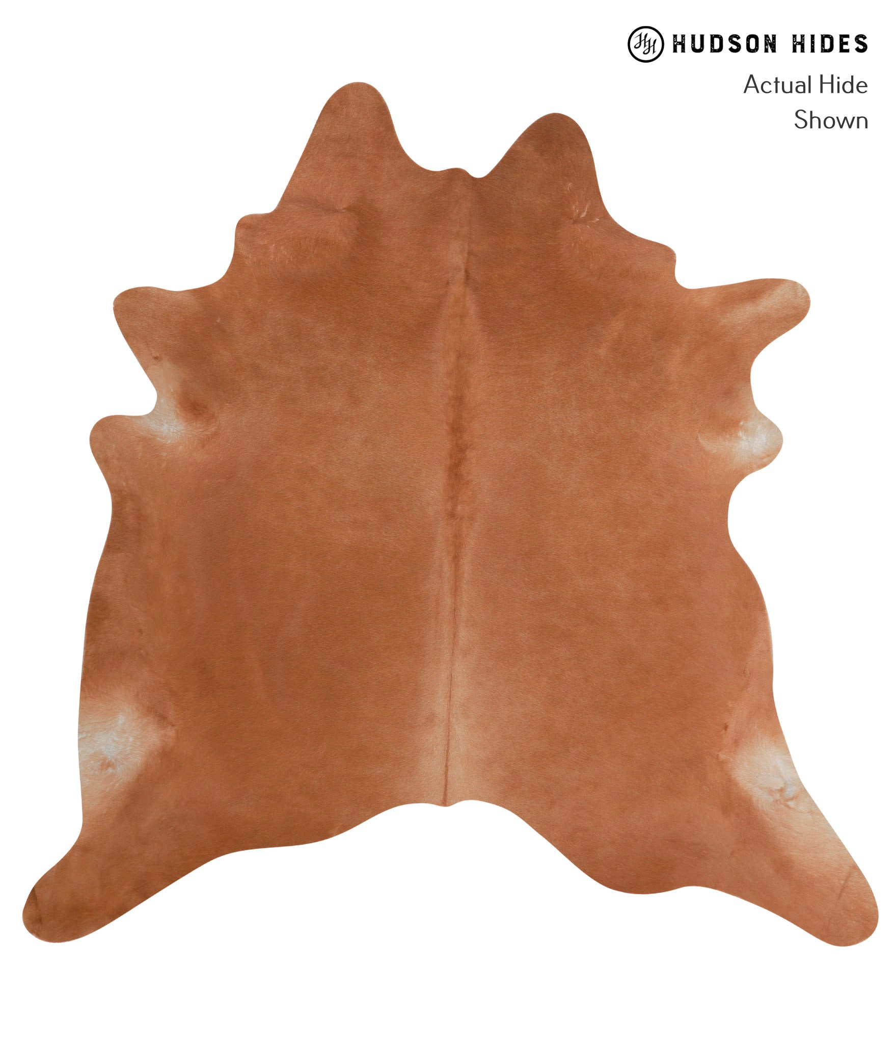 Solid Brown Cowhide Rug #A3426