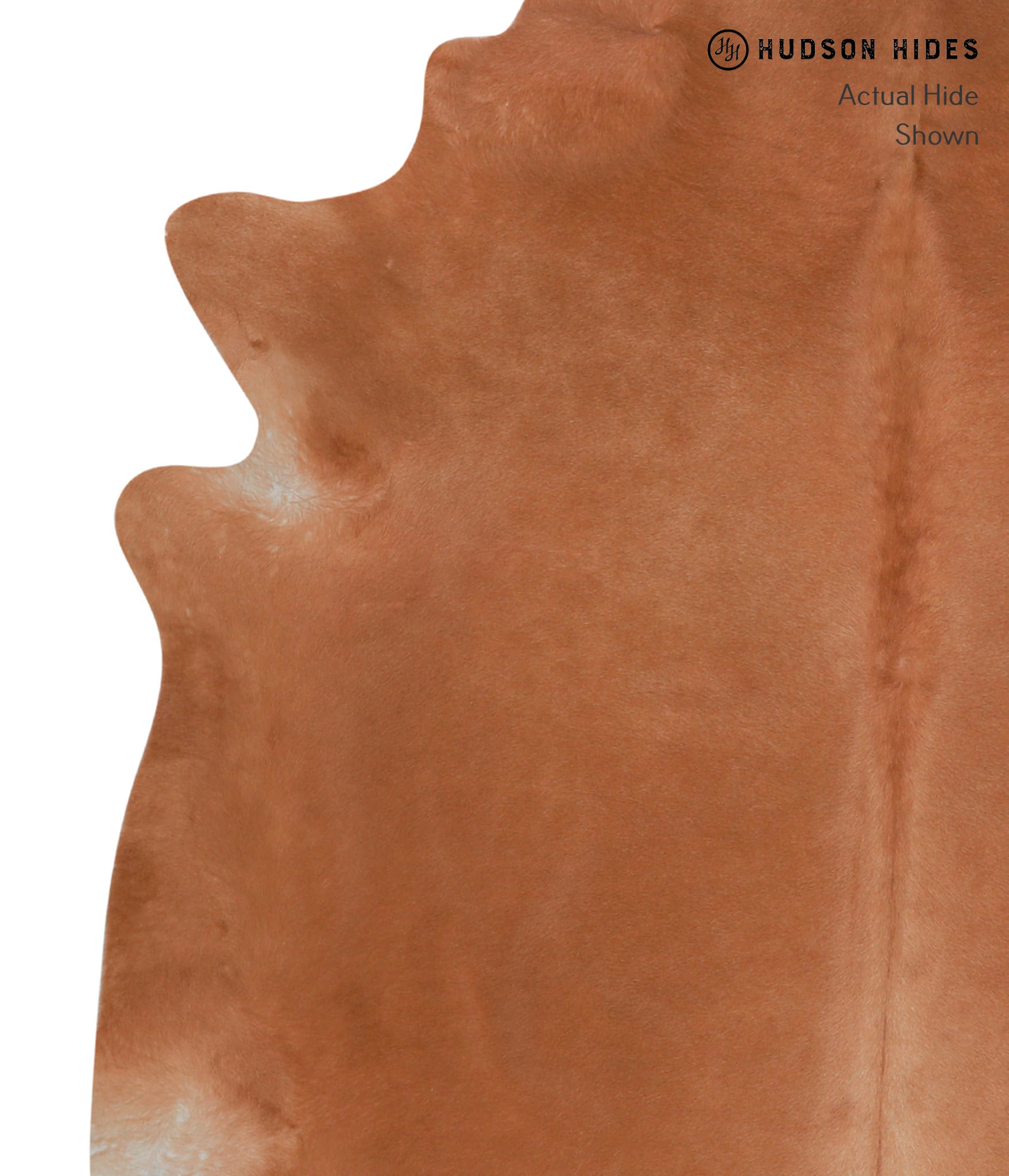 Solid Brown Cowhide Rug #A3426