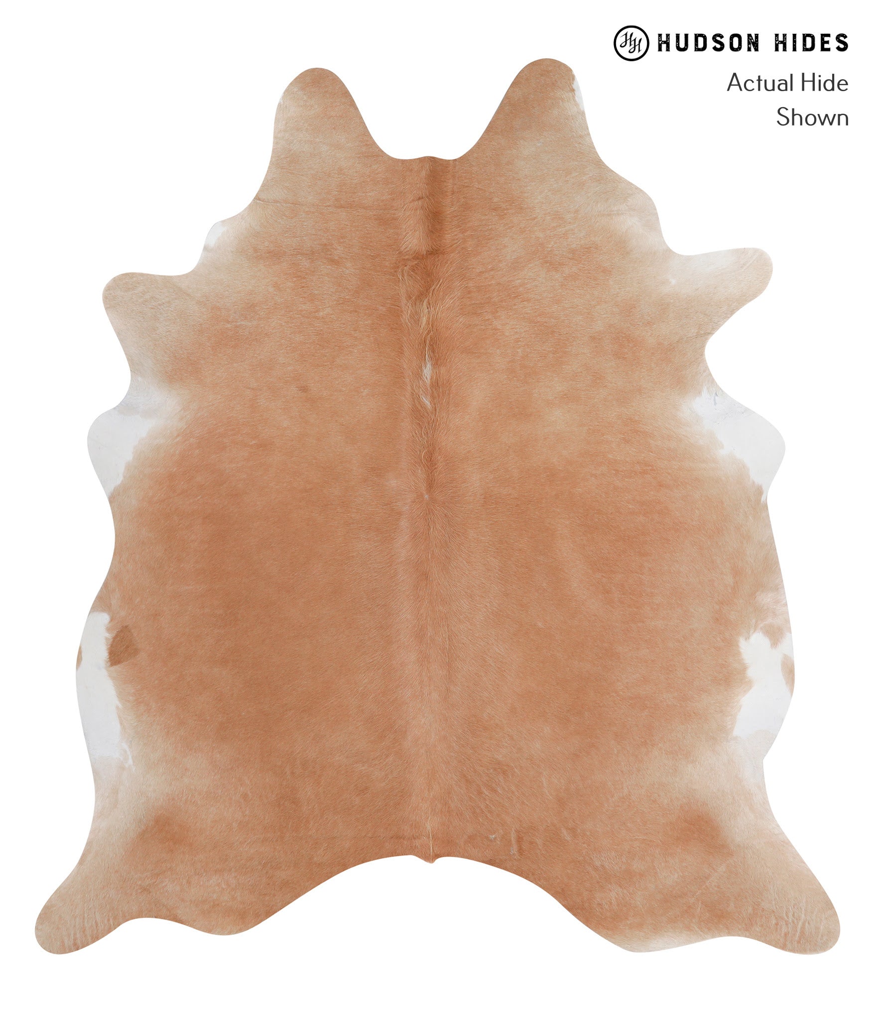 Solid Brown Cowhide Rug #A3466