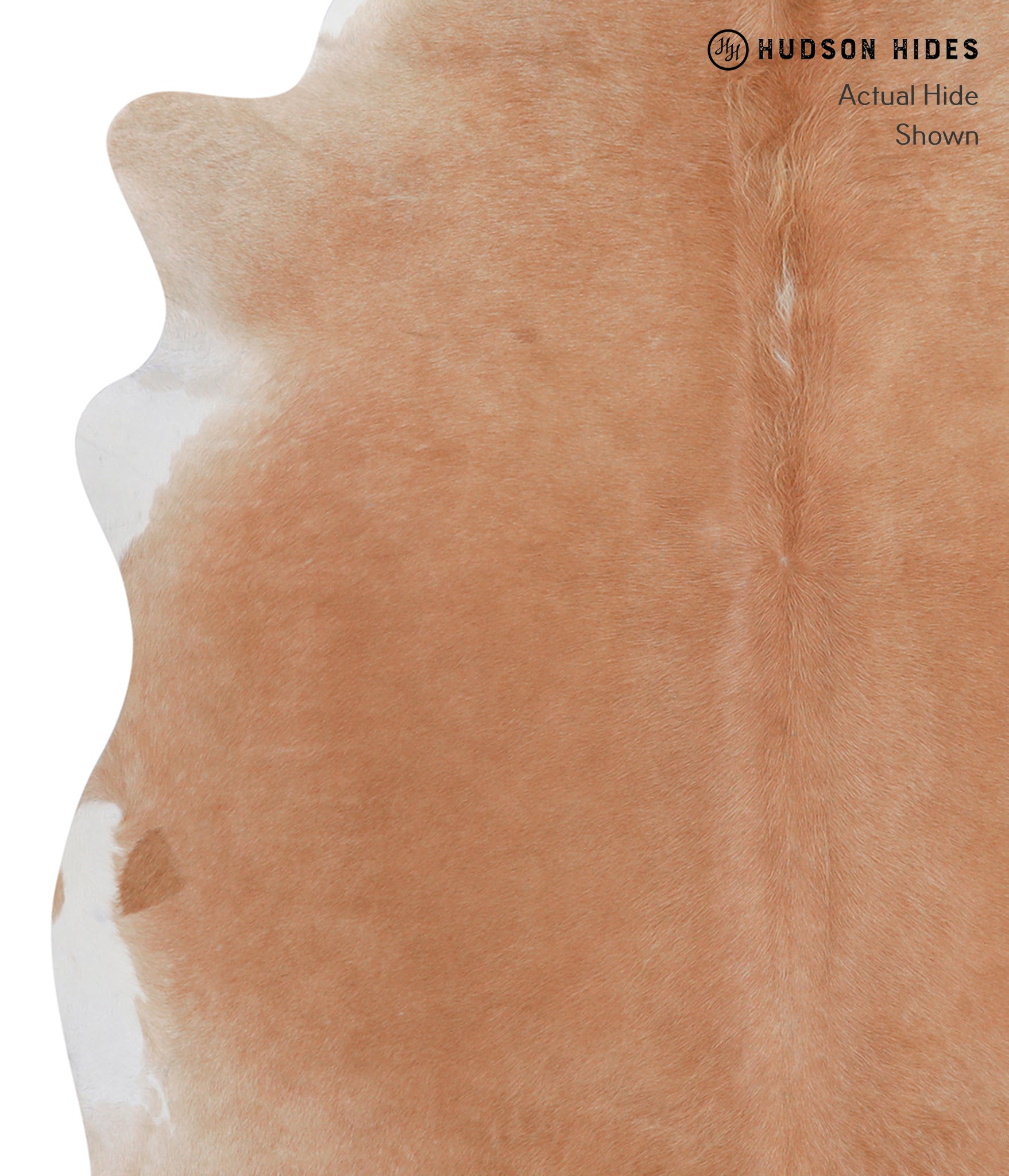 Solid Brown Cowhide Rug #A3466