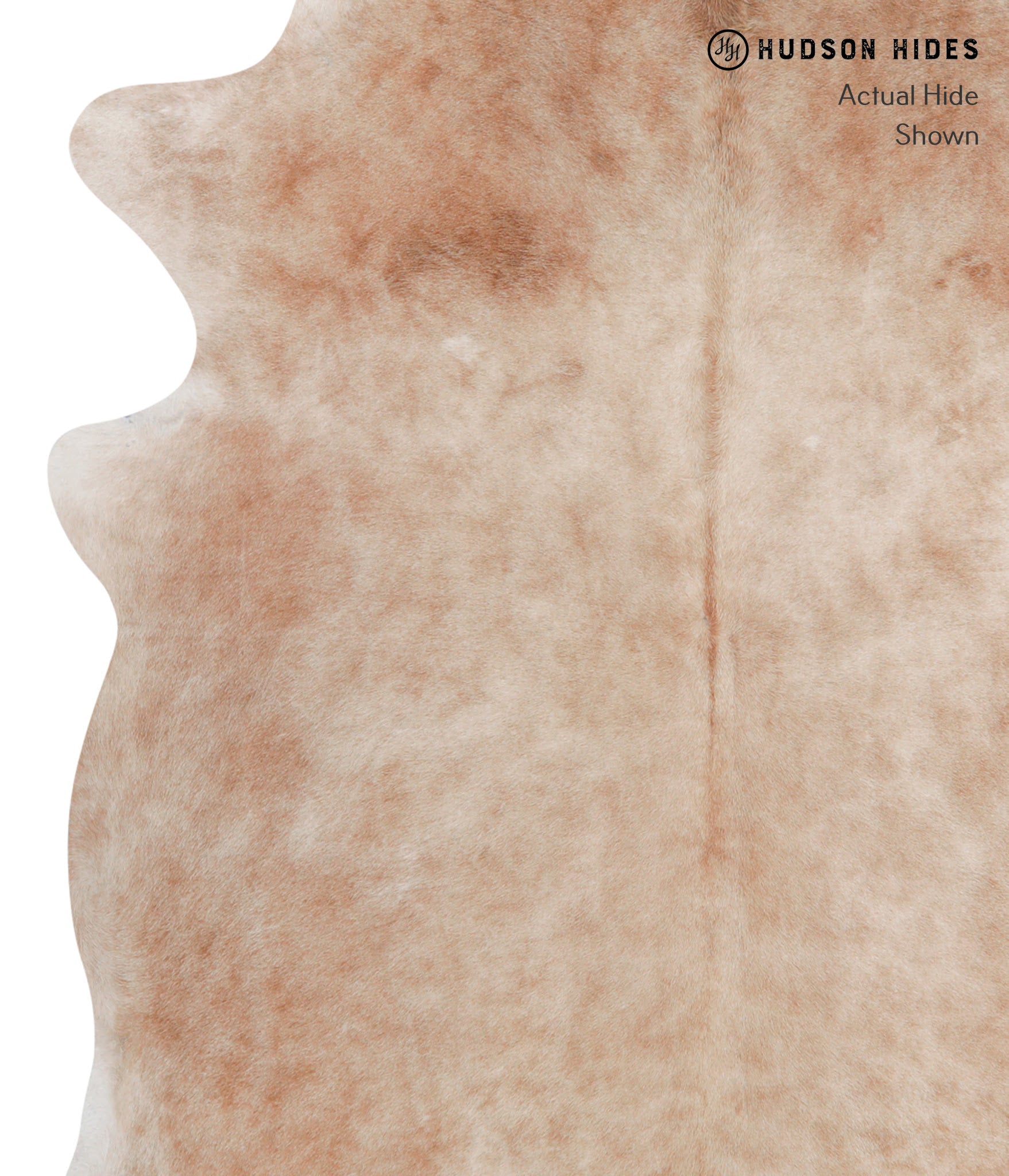 Caramel Cowhide Rug #A3468