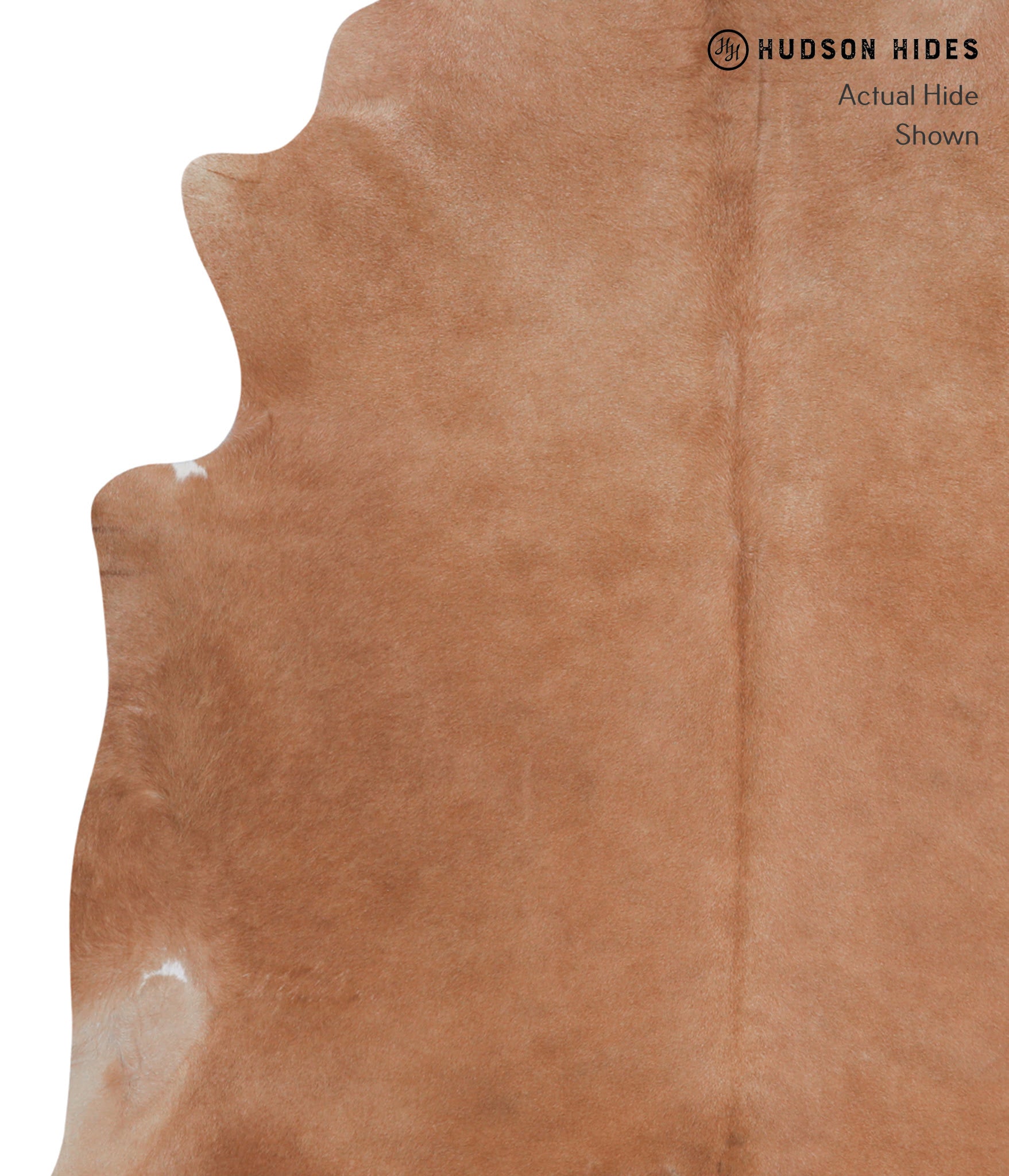 Solid Brown Cowhide Rug #A3470