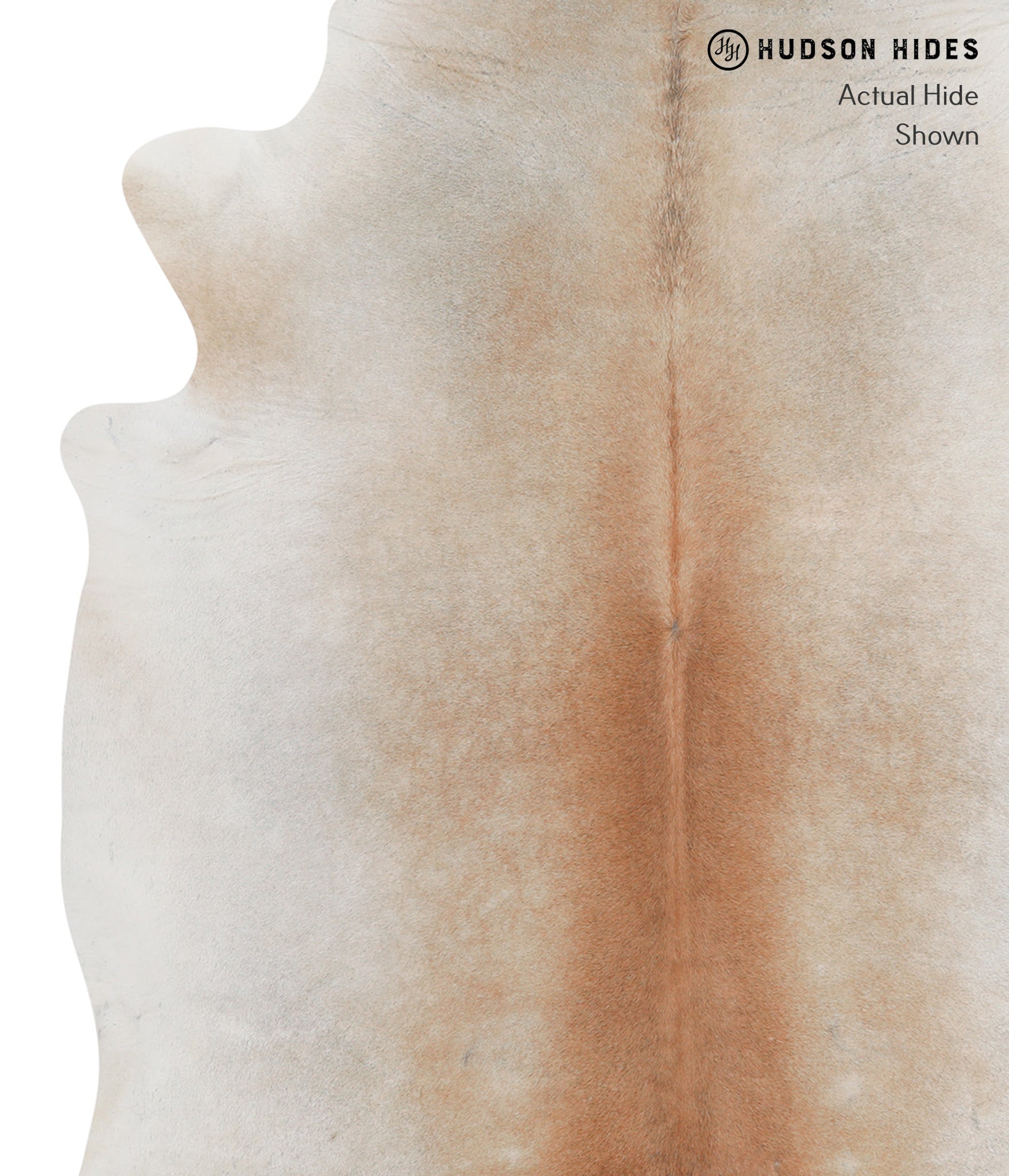 Caramel Cowhide Rug #A3498