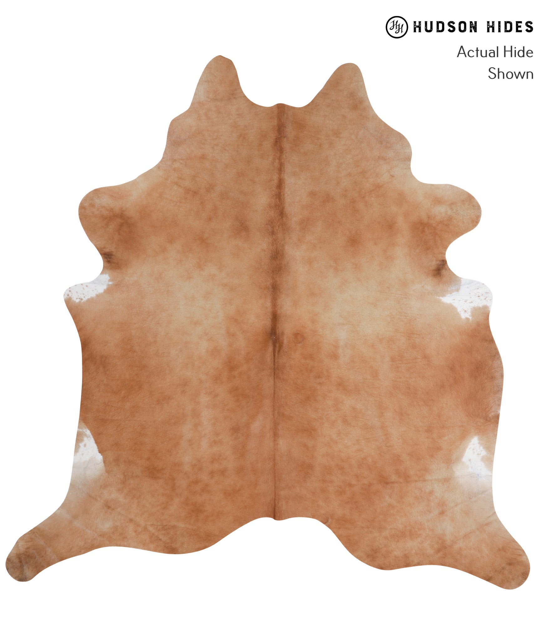 Solid Brown Cowhide Rug #A3504