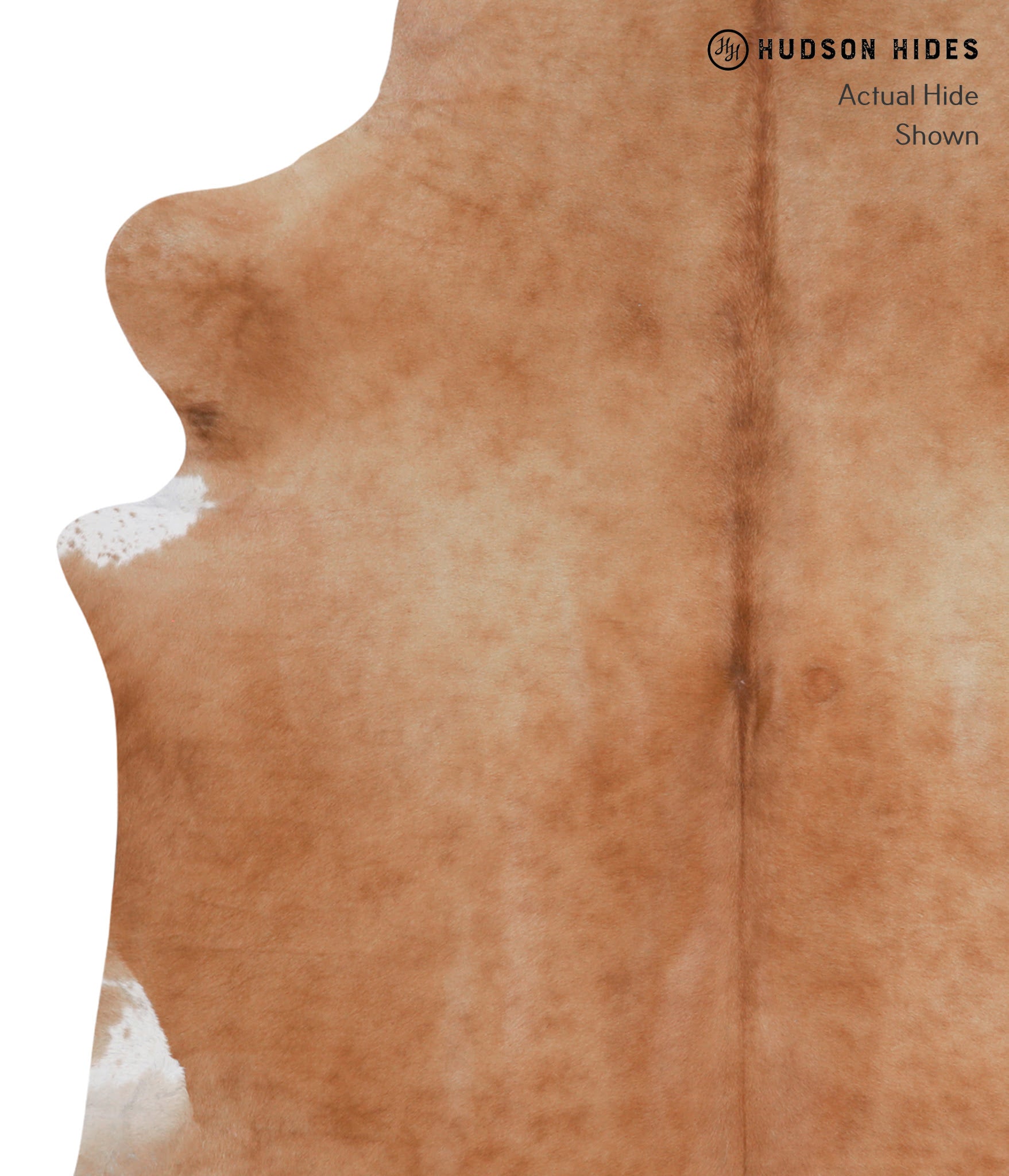 Solid Brown Cowhide Rug #A3504