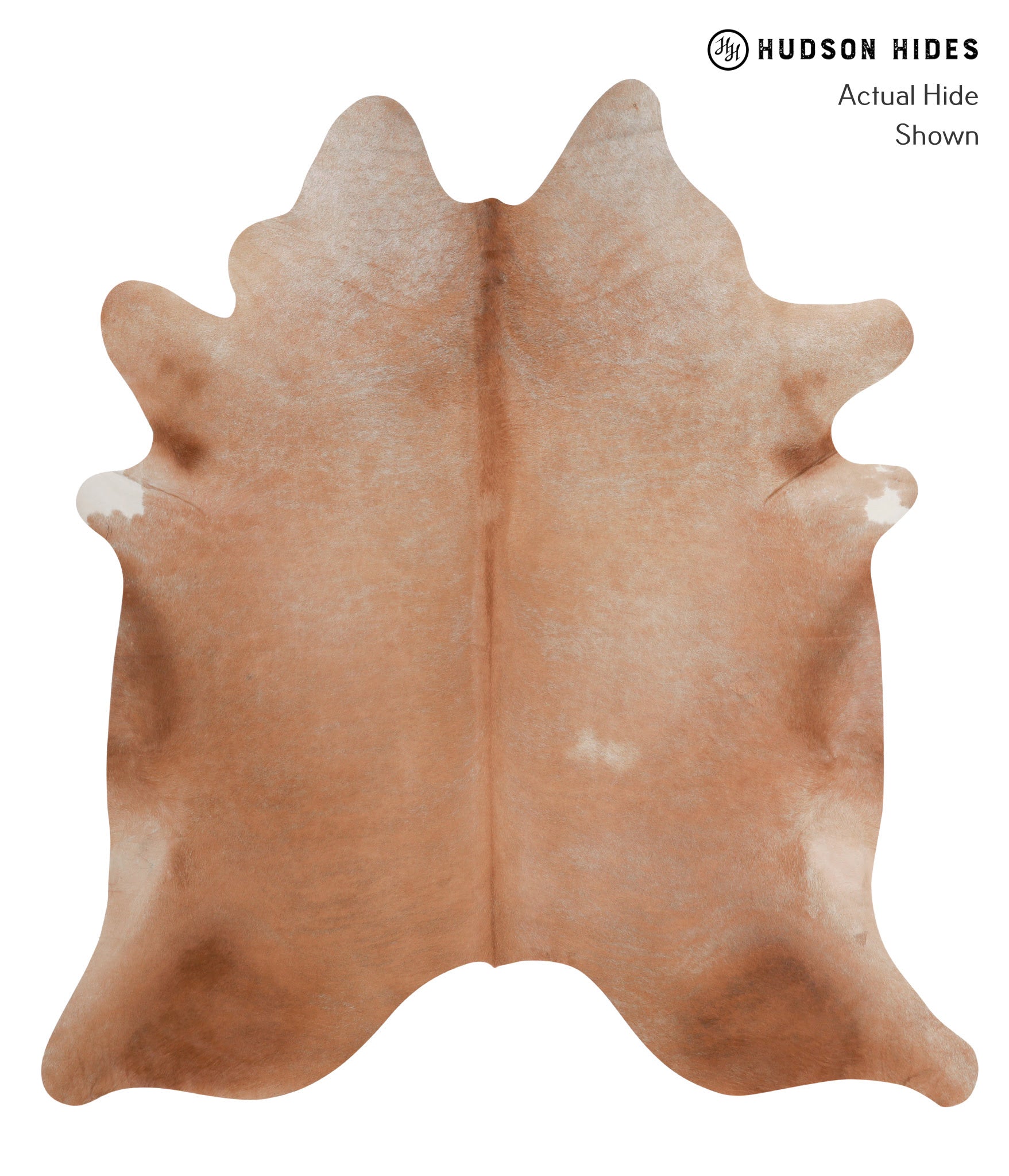 Solid Brown Cowhide Rug #A3524