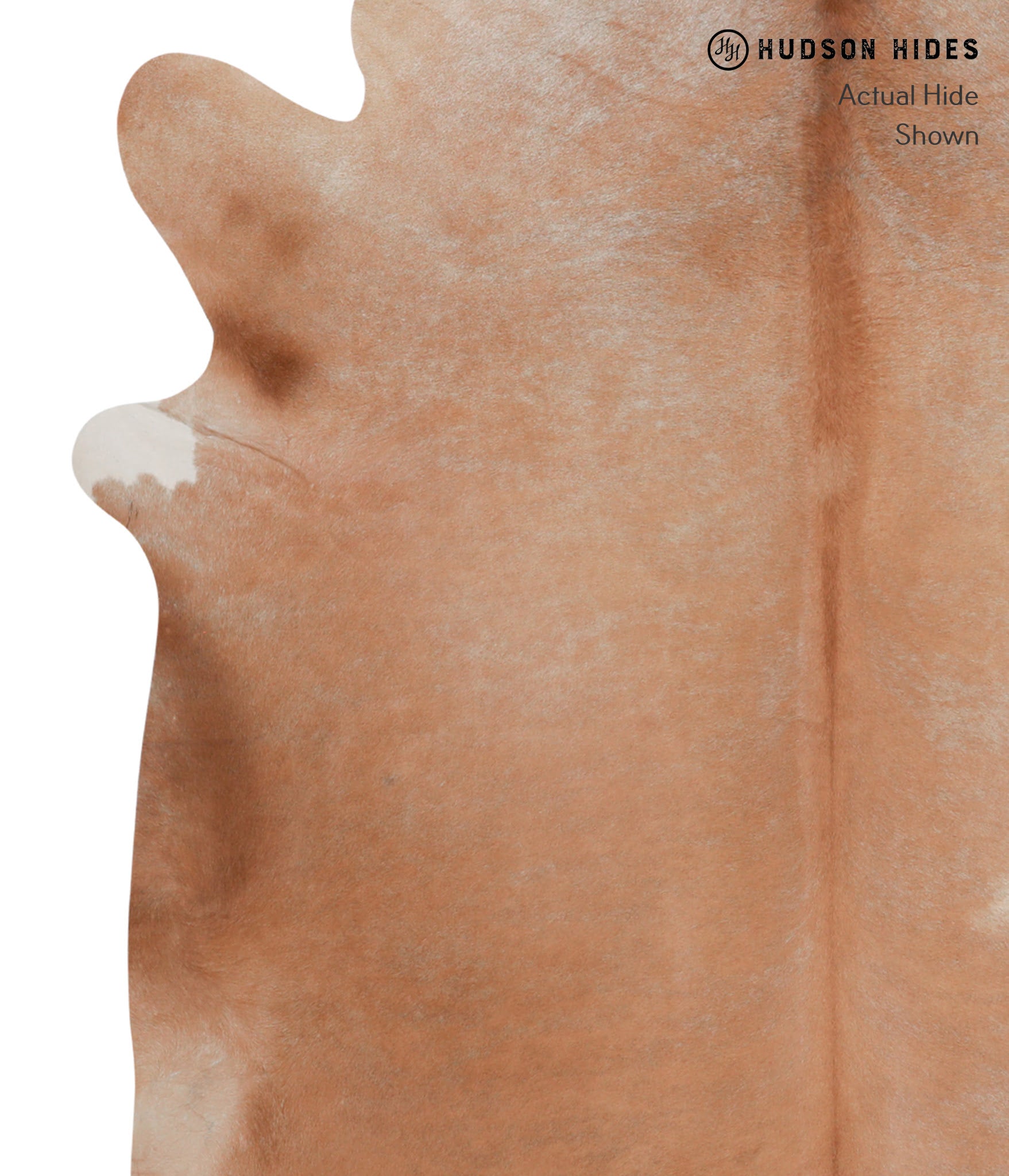 Solid Brown Cowhide Rug #A3524