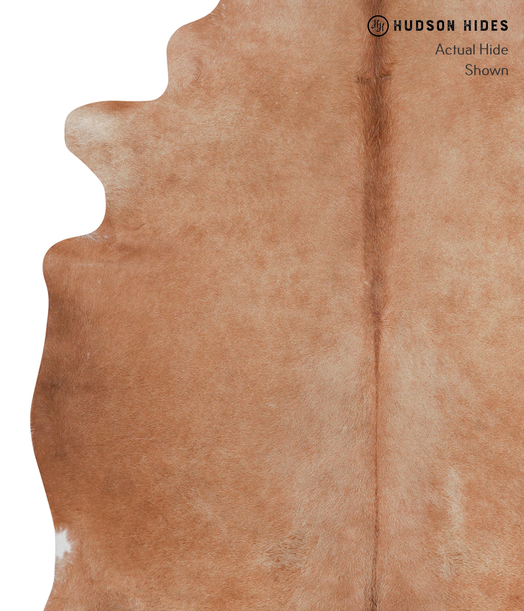 Solid Brown Cowhide Rug #A3529