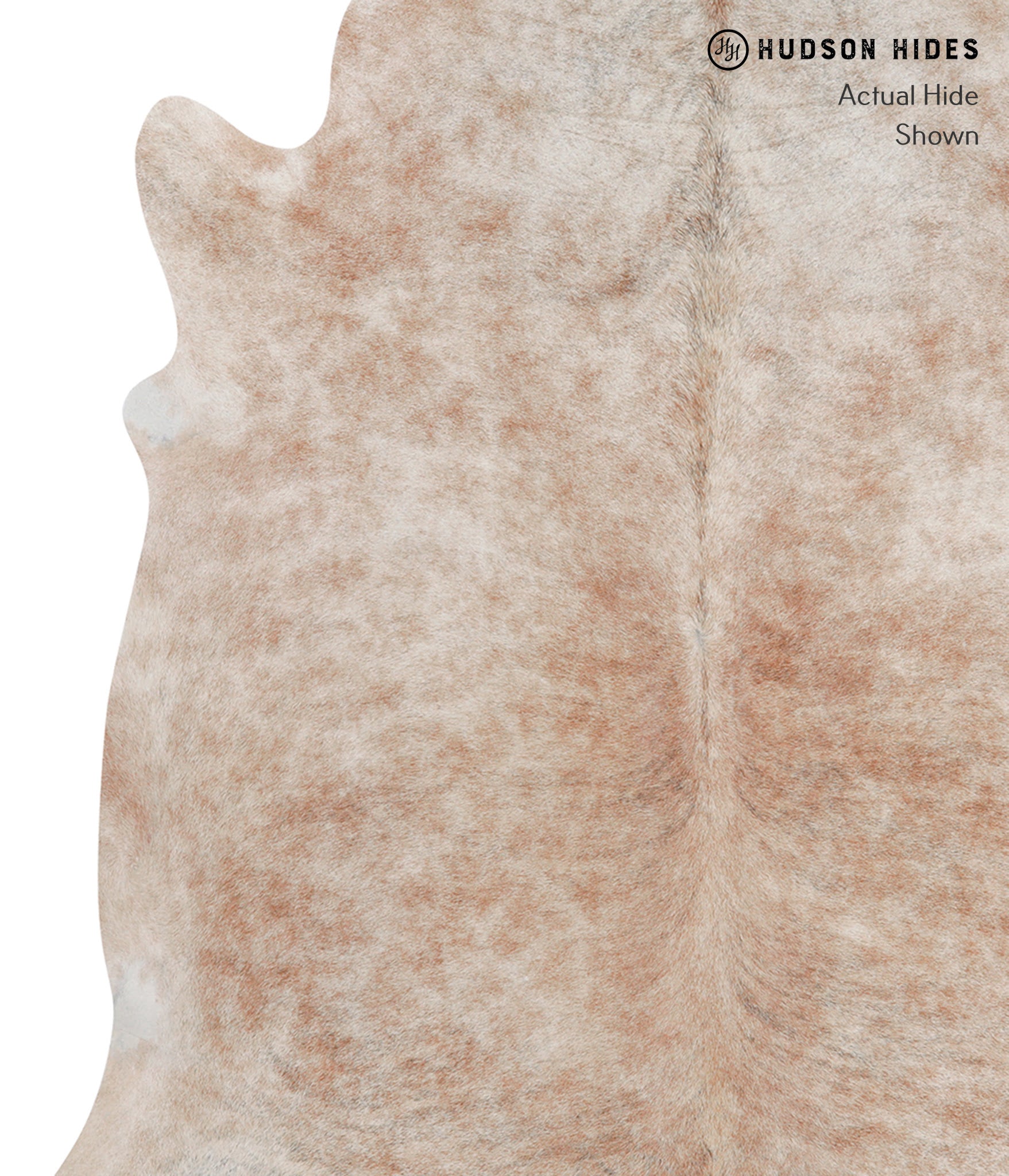 Caramel Cowhide Rug #A3554