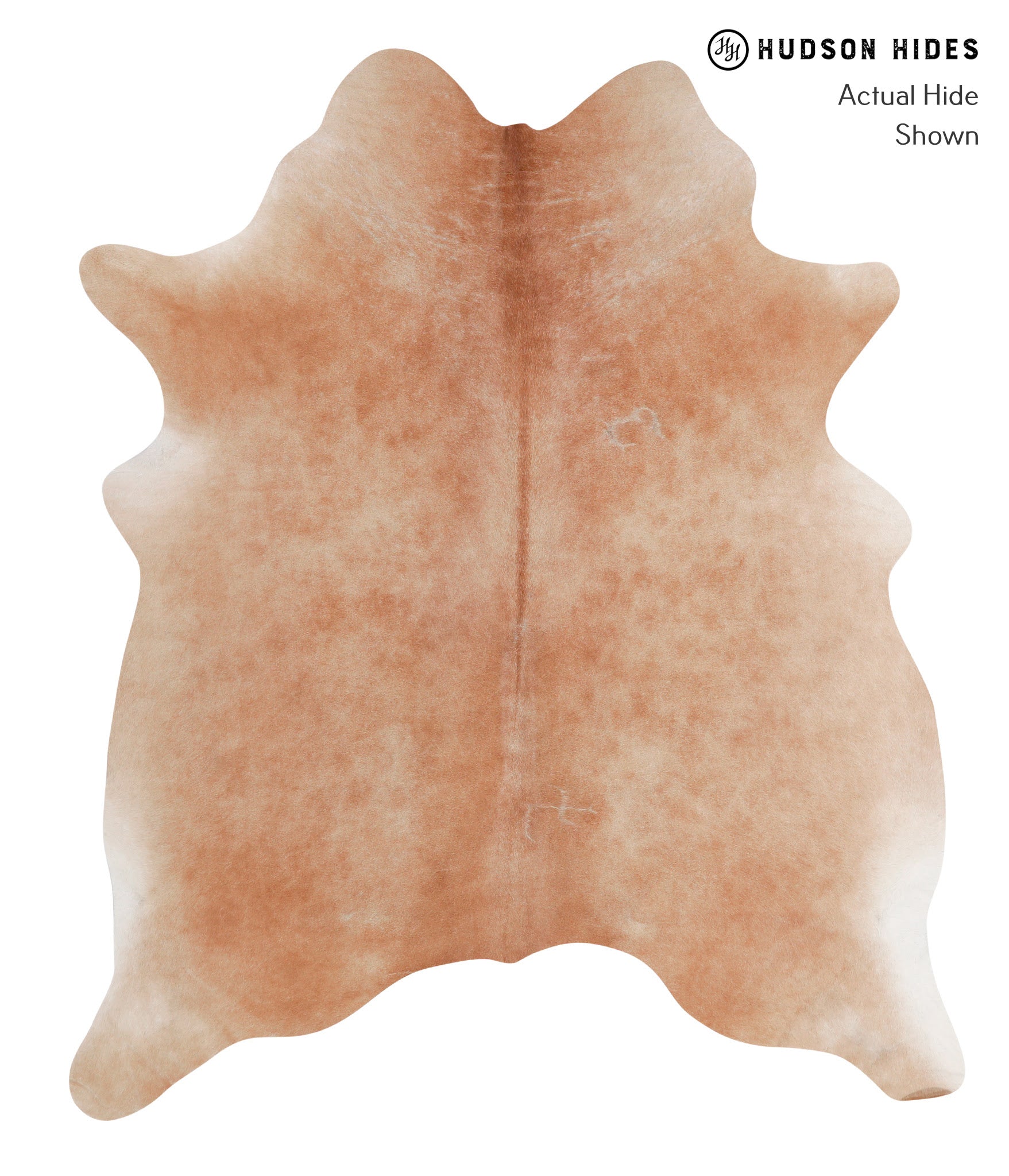 Caramel Cowhide Rug #A3599