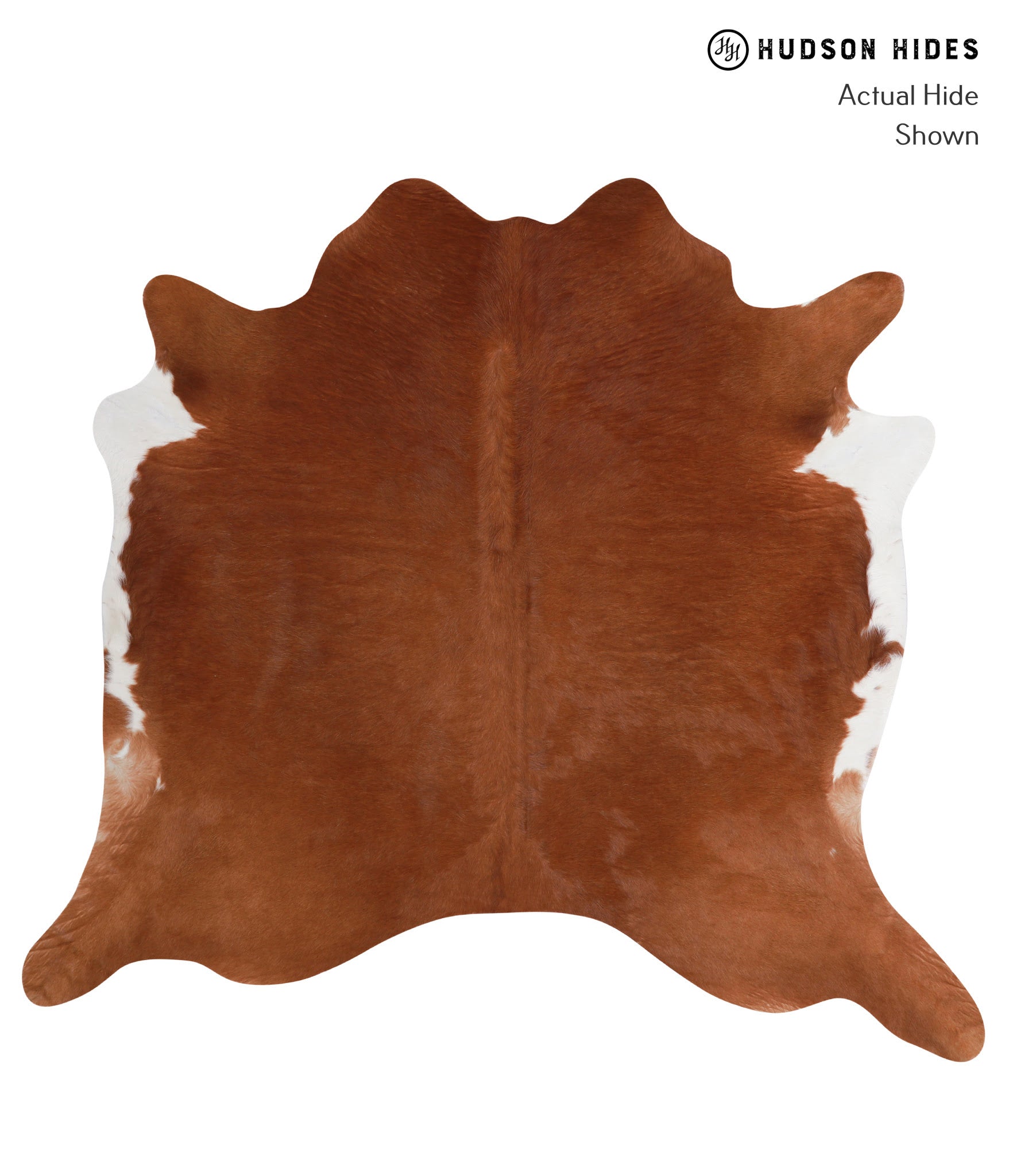 Solid Brown Cowhide Rug #A3602