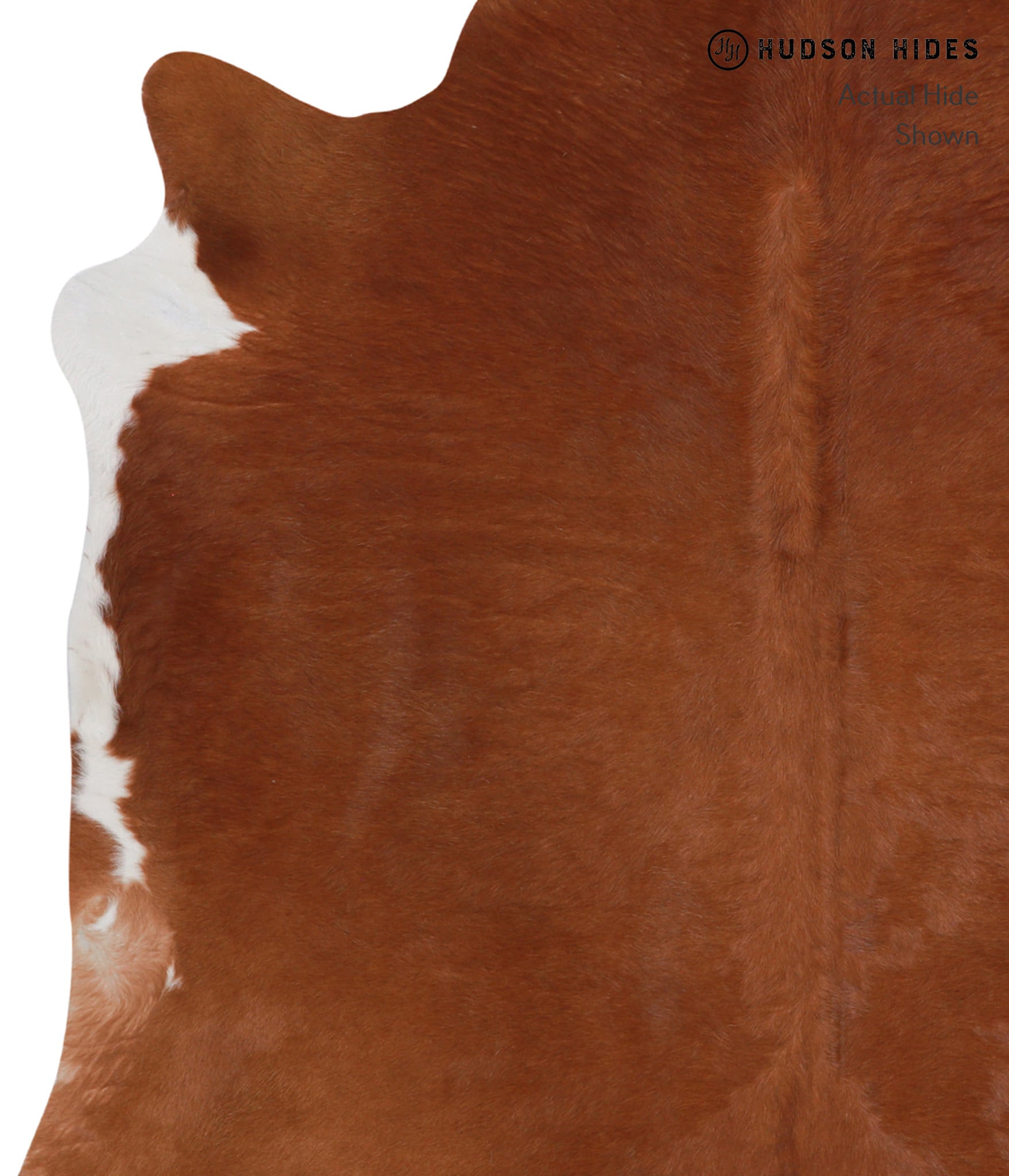 Solid Brown Cowhide Rug #A3602