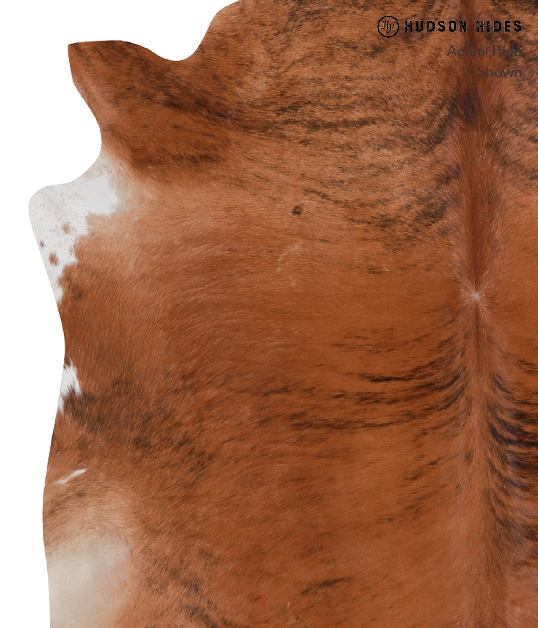 Medium Brindle Cowhide Rug #A3614