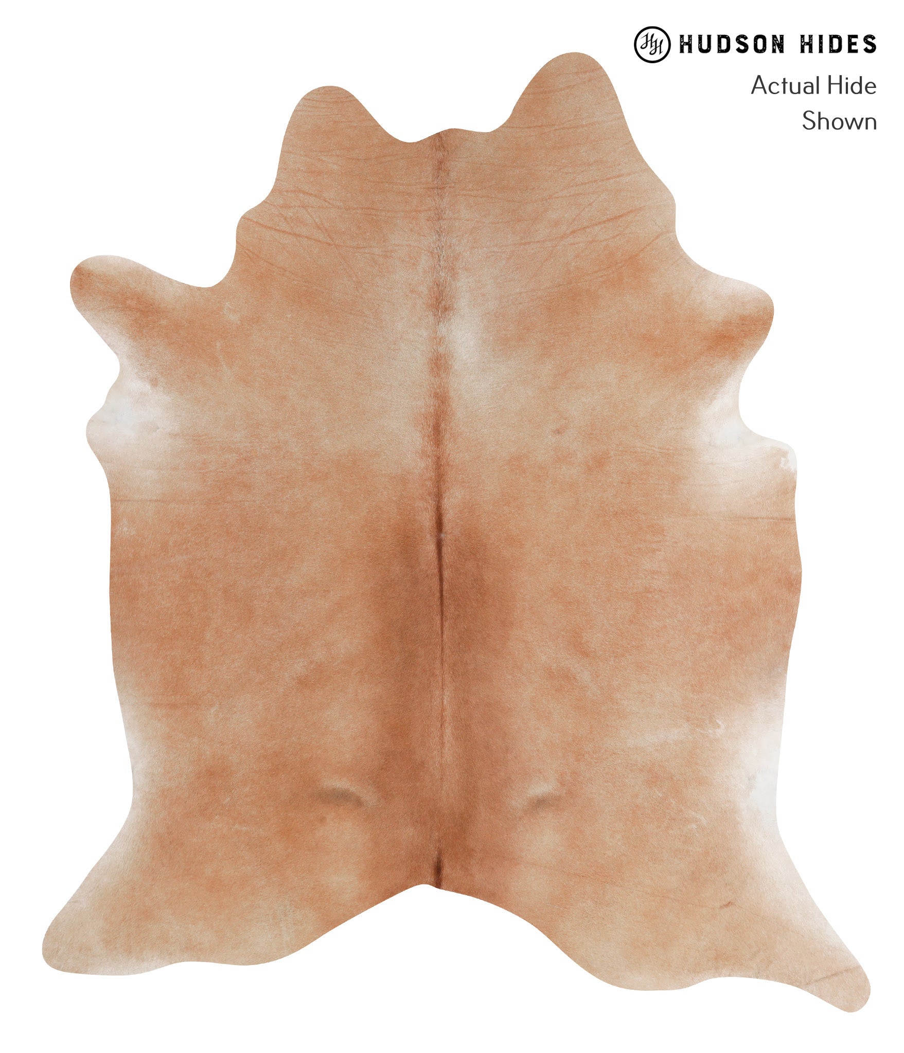 Solid Brown Cowhide Rug #A3624