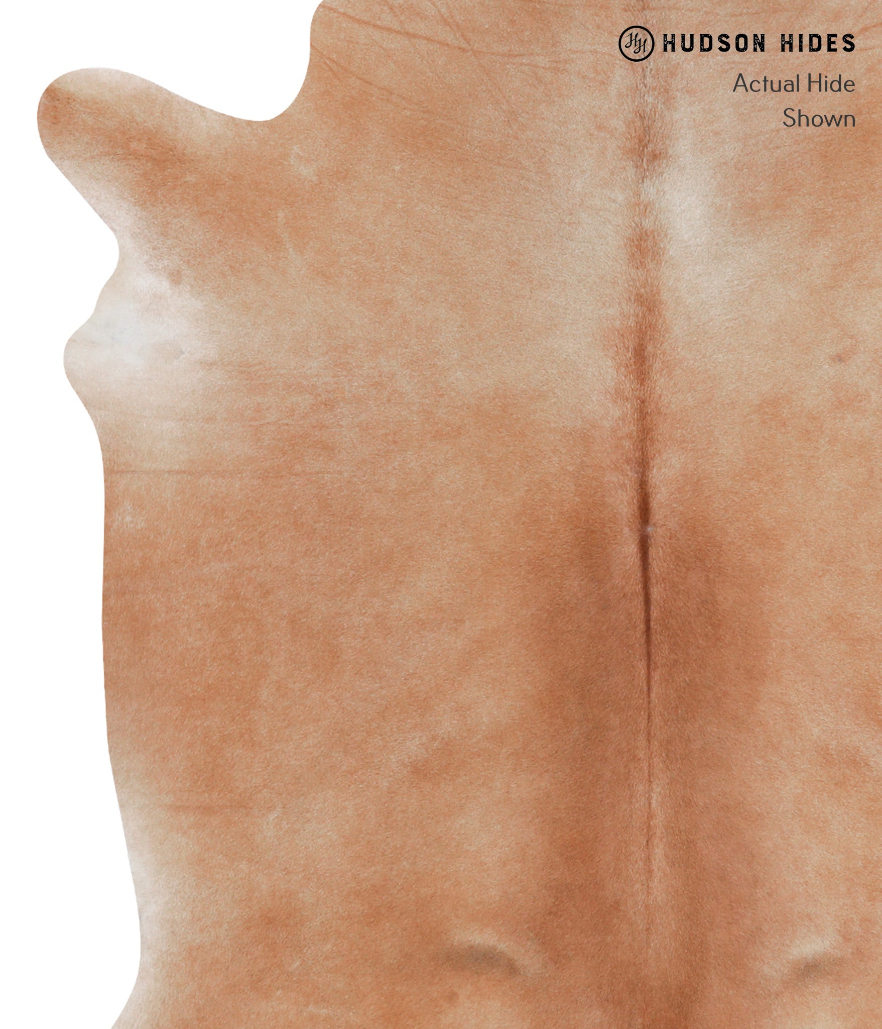 Solid Brown Cowhide Rug #A3624