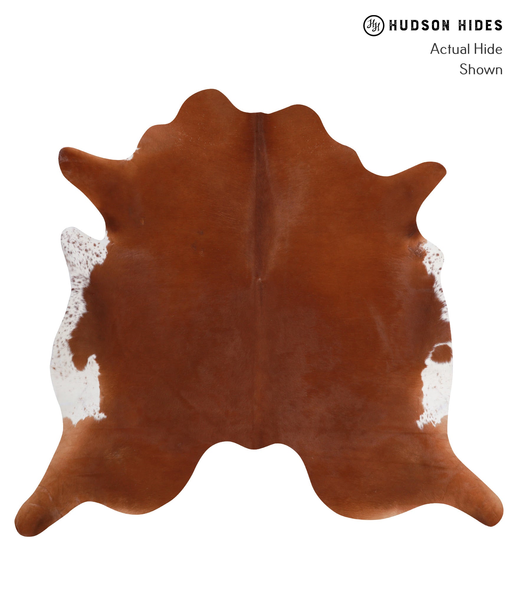 Solid Brown Cowhide Rug #A3639