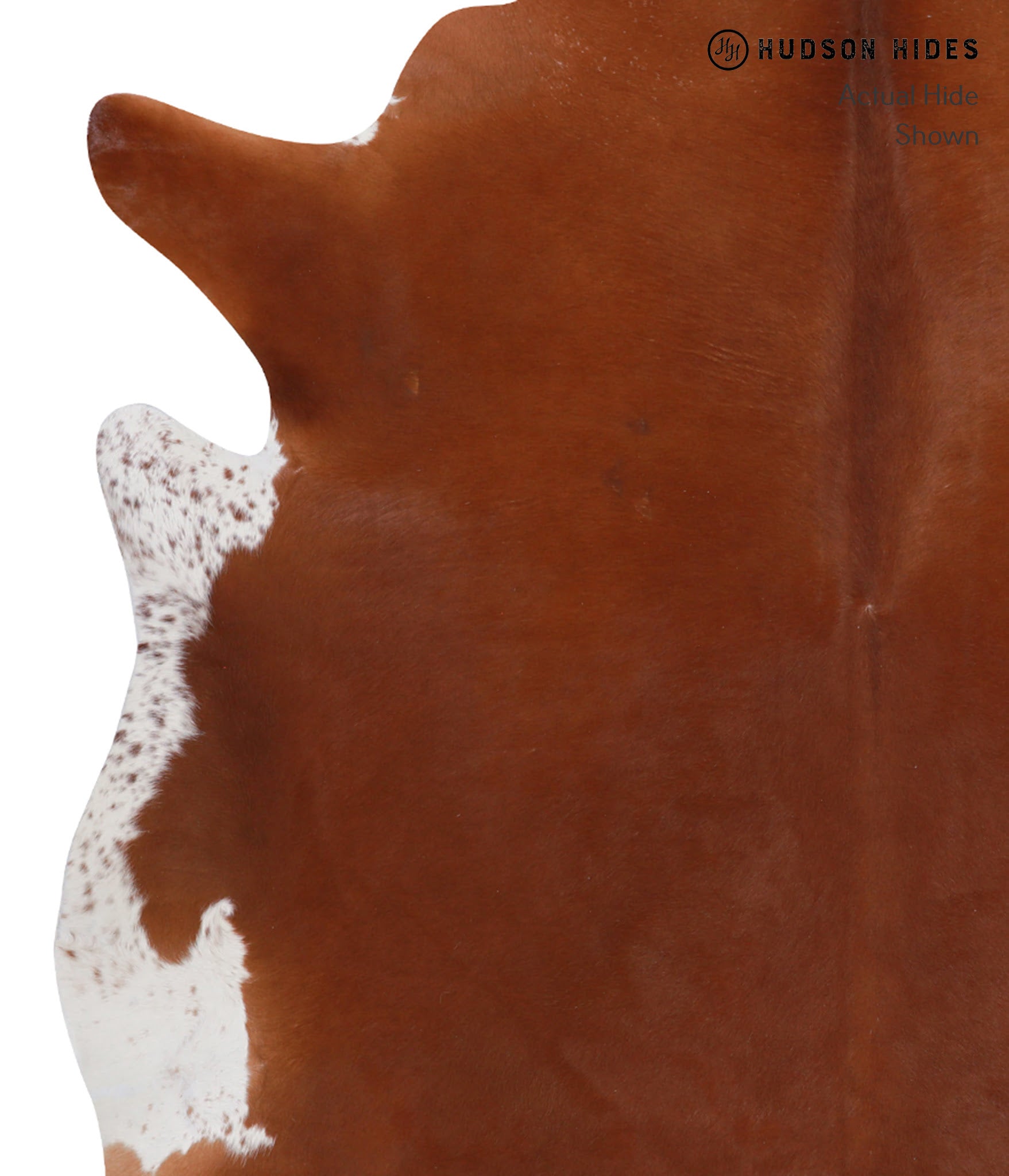 Solid Brown Cowhide Rug #A3639