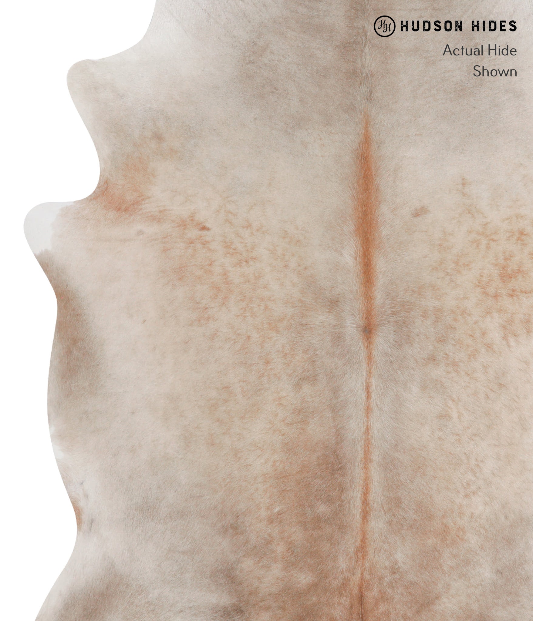 Caramel Cowhide Rug #A3680