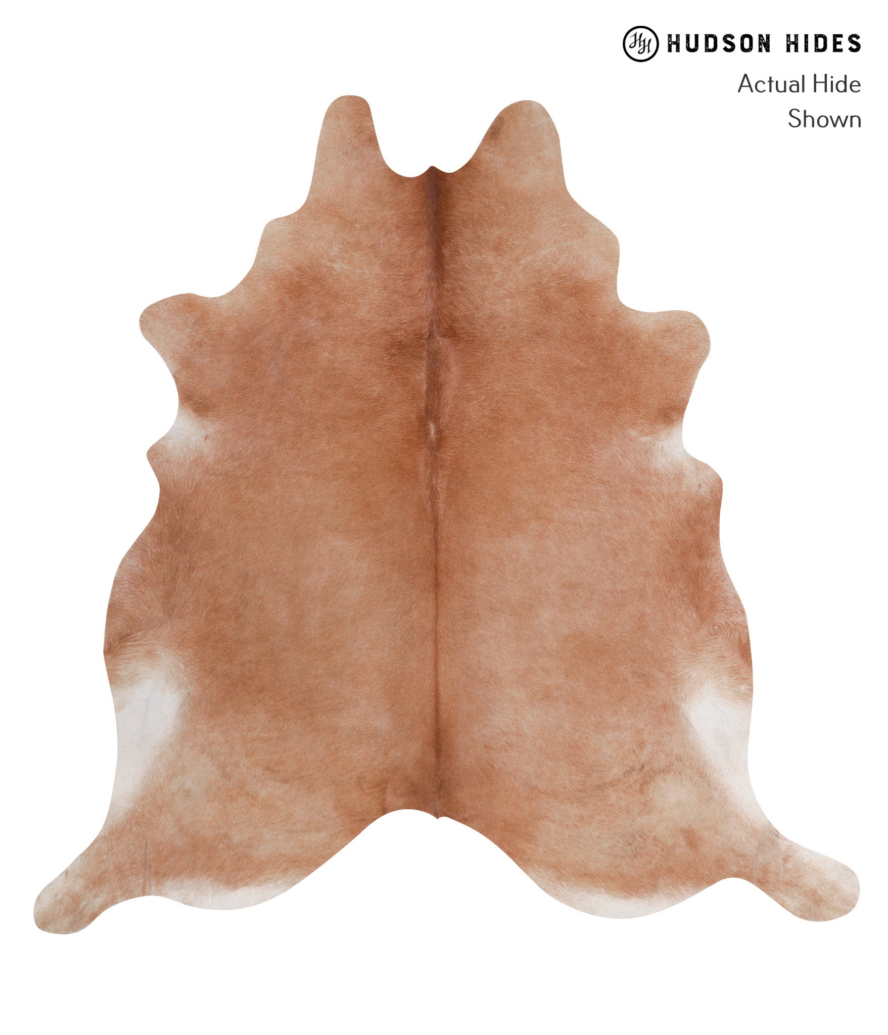 Solid Brown Cowhide Rug #A3685