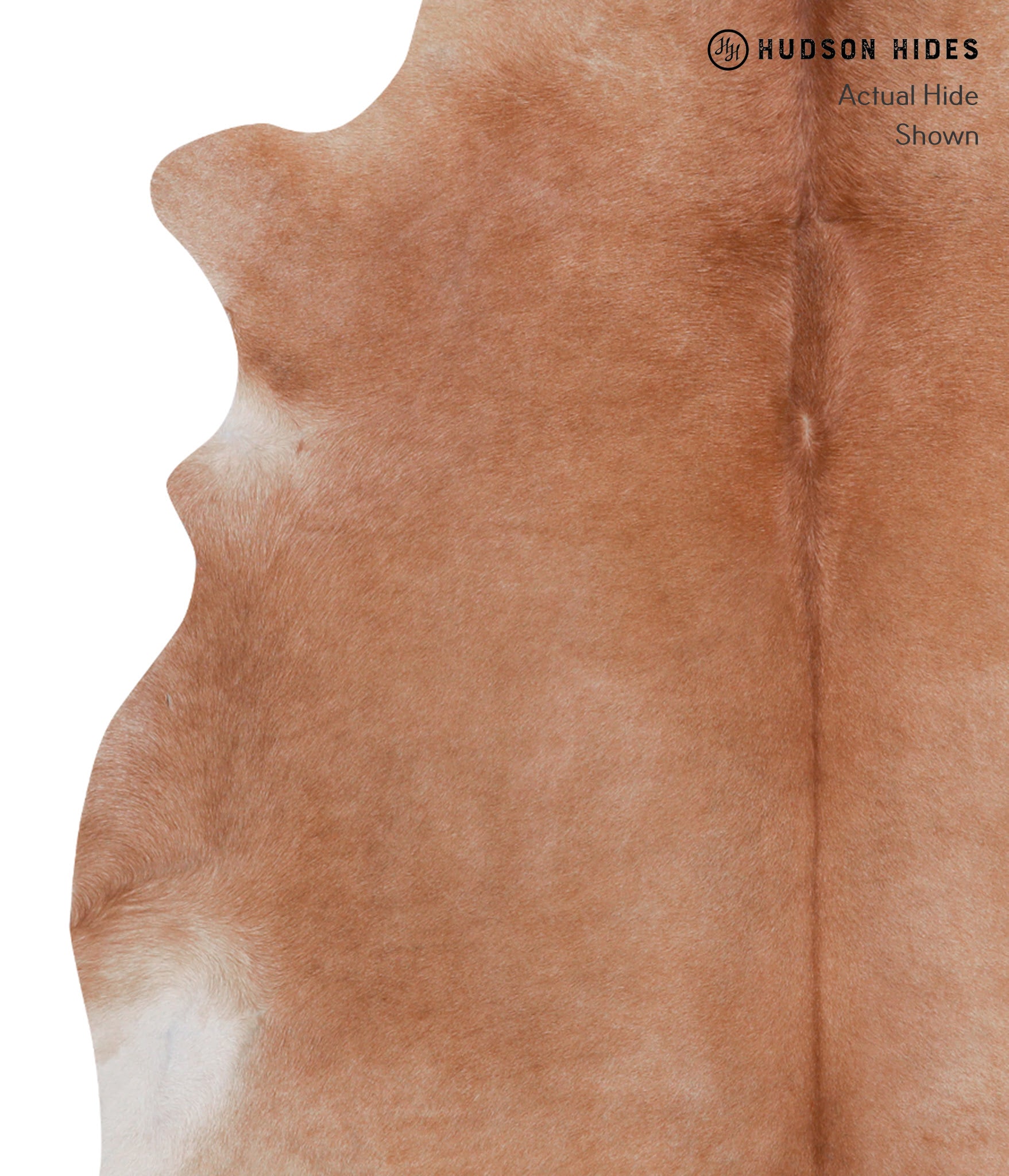 Solid Brown Cowhide Rug #A3685