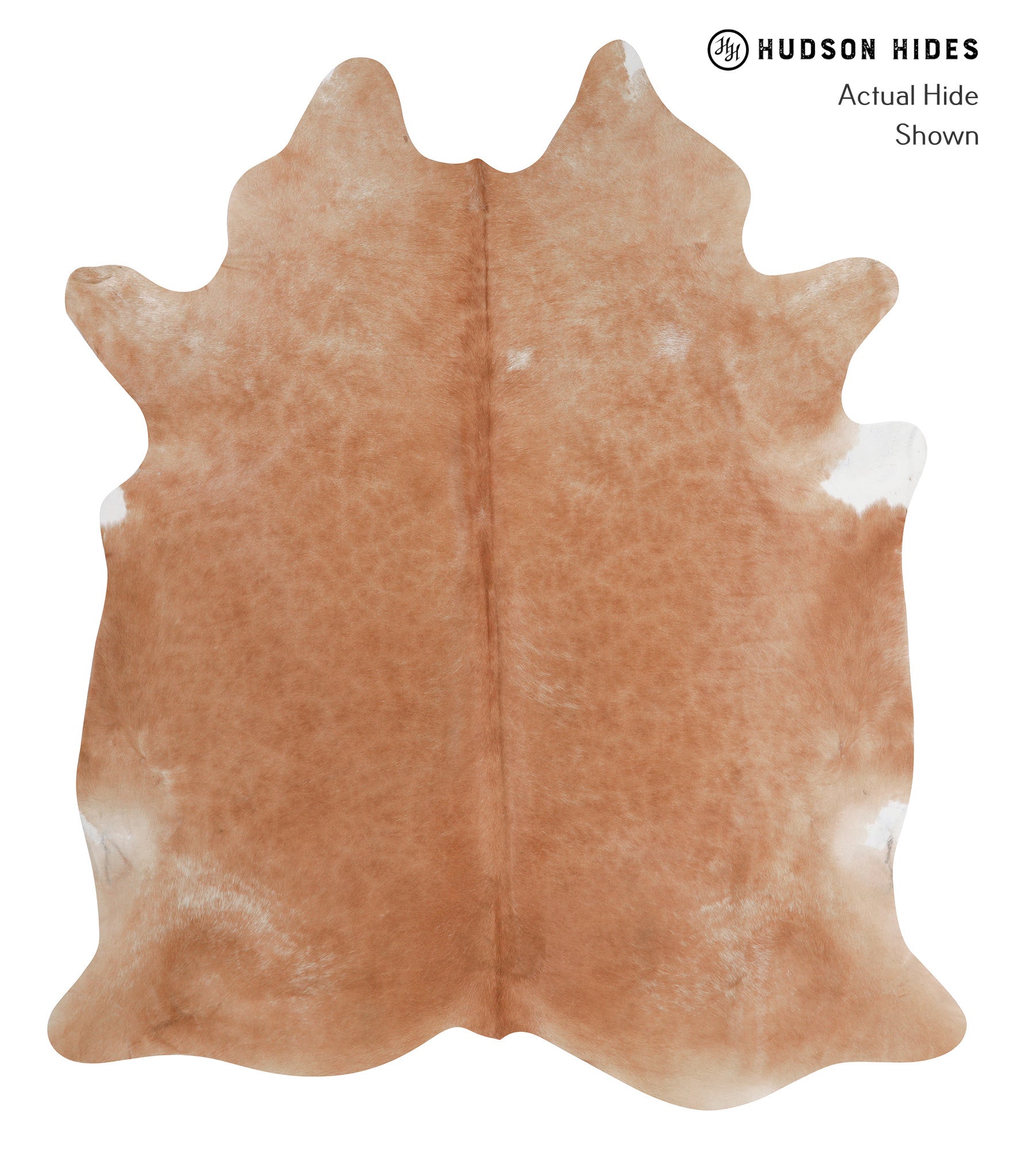 Solid Brown Cowhide Rug #A3711