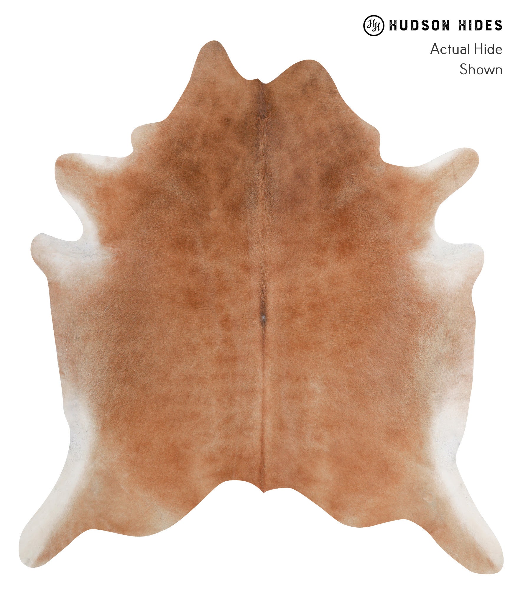 Solid Brown Cowhide Rug #A3717