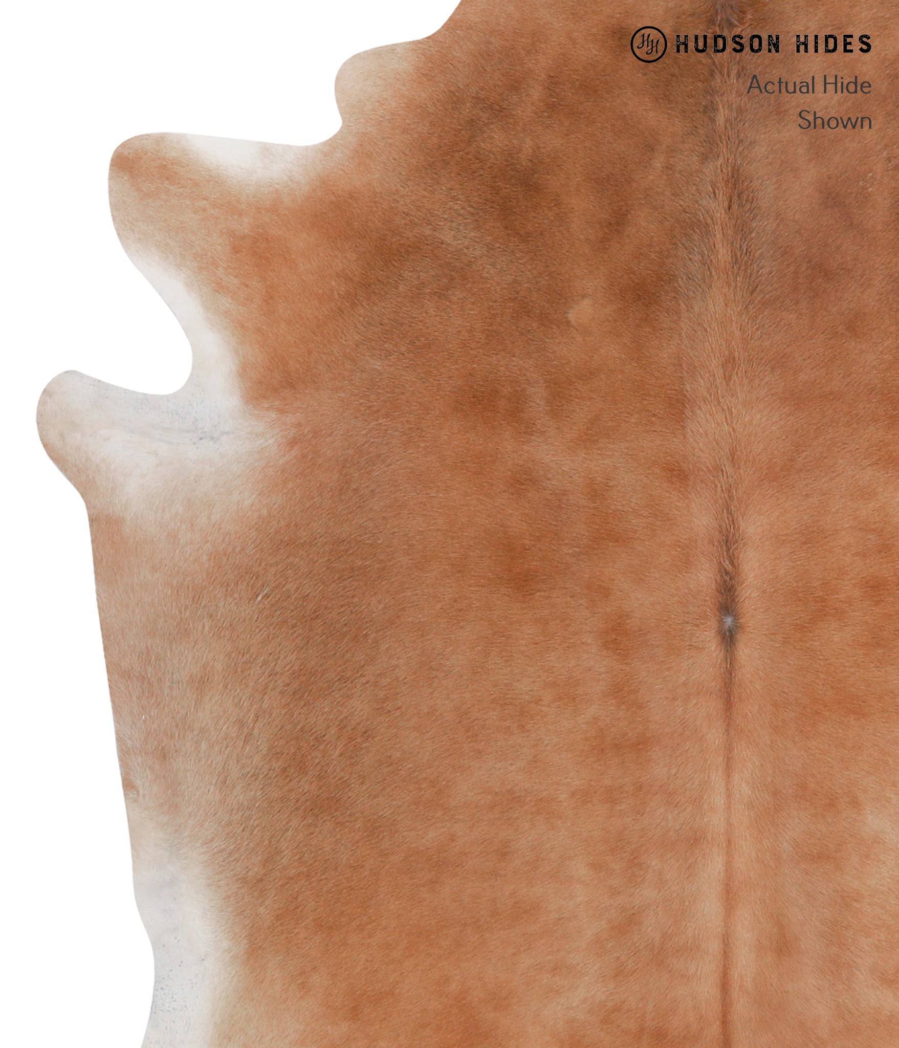 Solid Brown Cowhide Rug #A3717