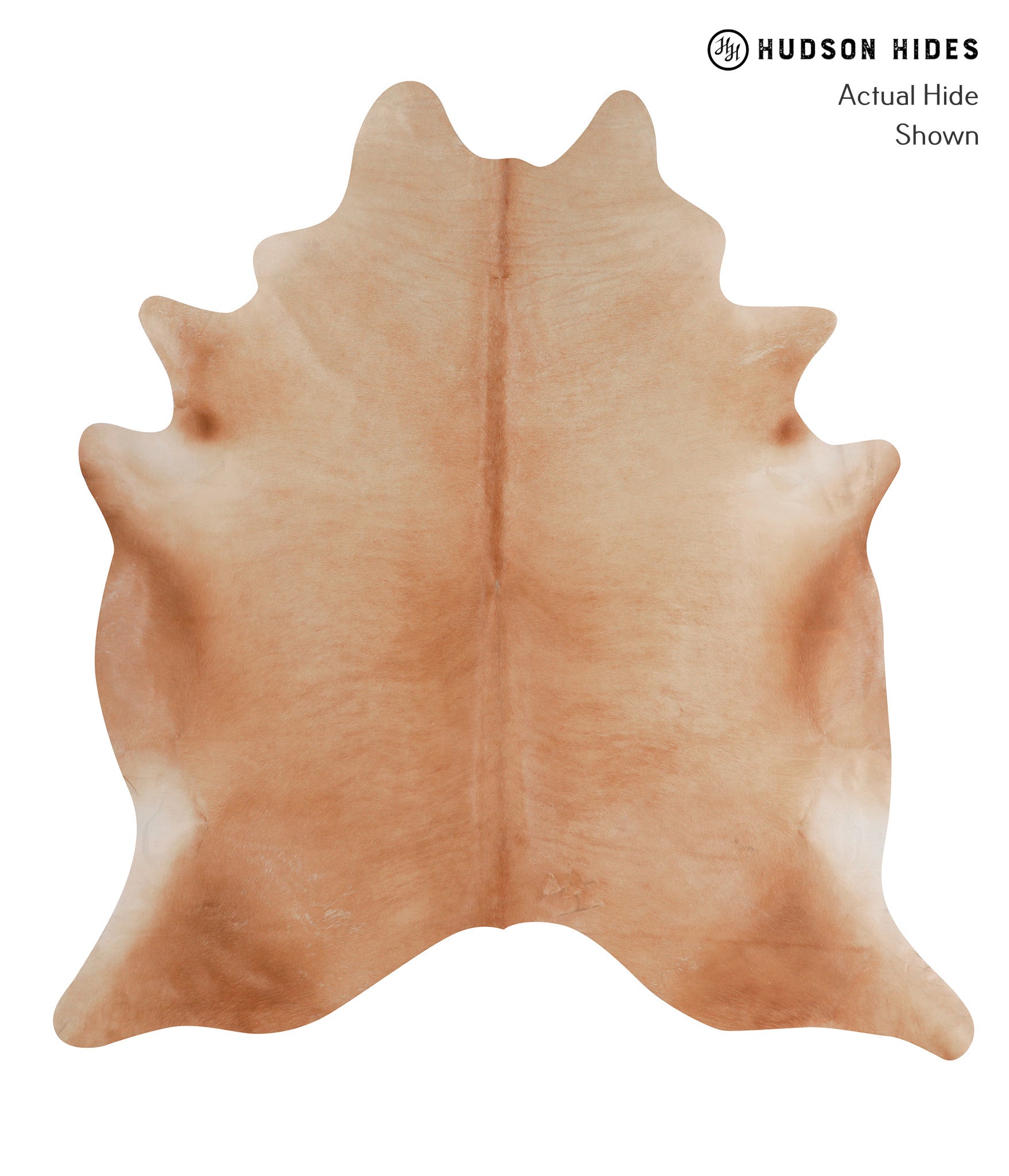 Solid Brown Cowhide Rug #A3728