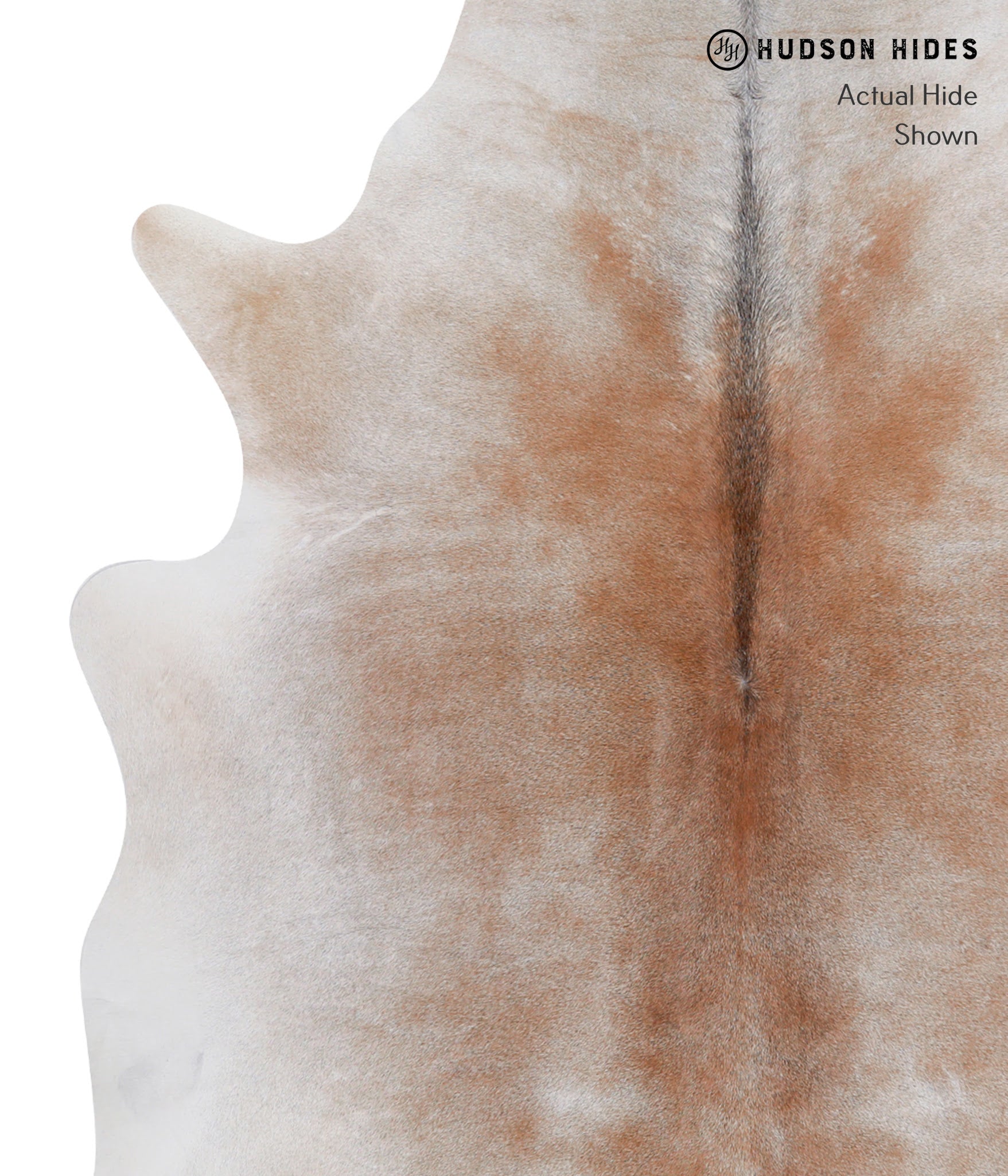 Caramel Cowhide Rug #A3795