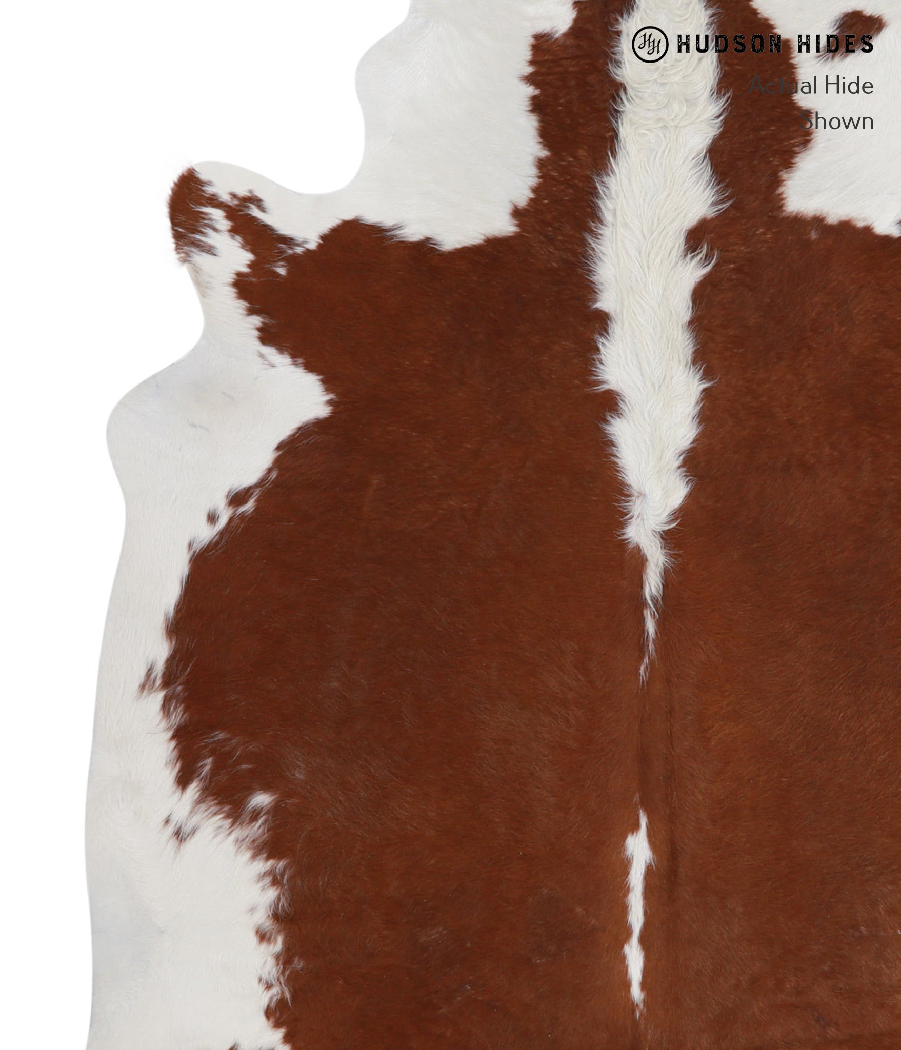 Hereford Cowhide Rug #A3839