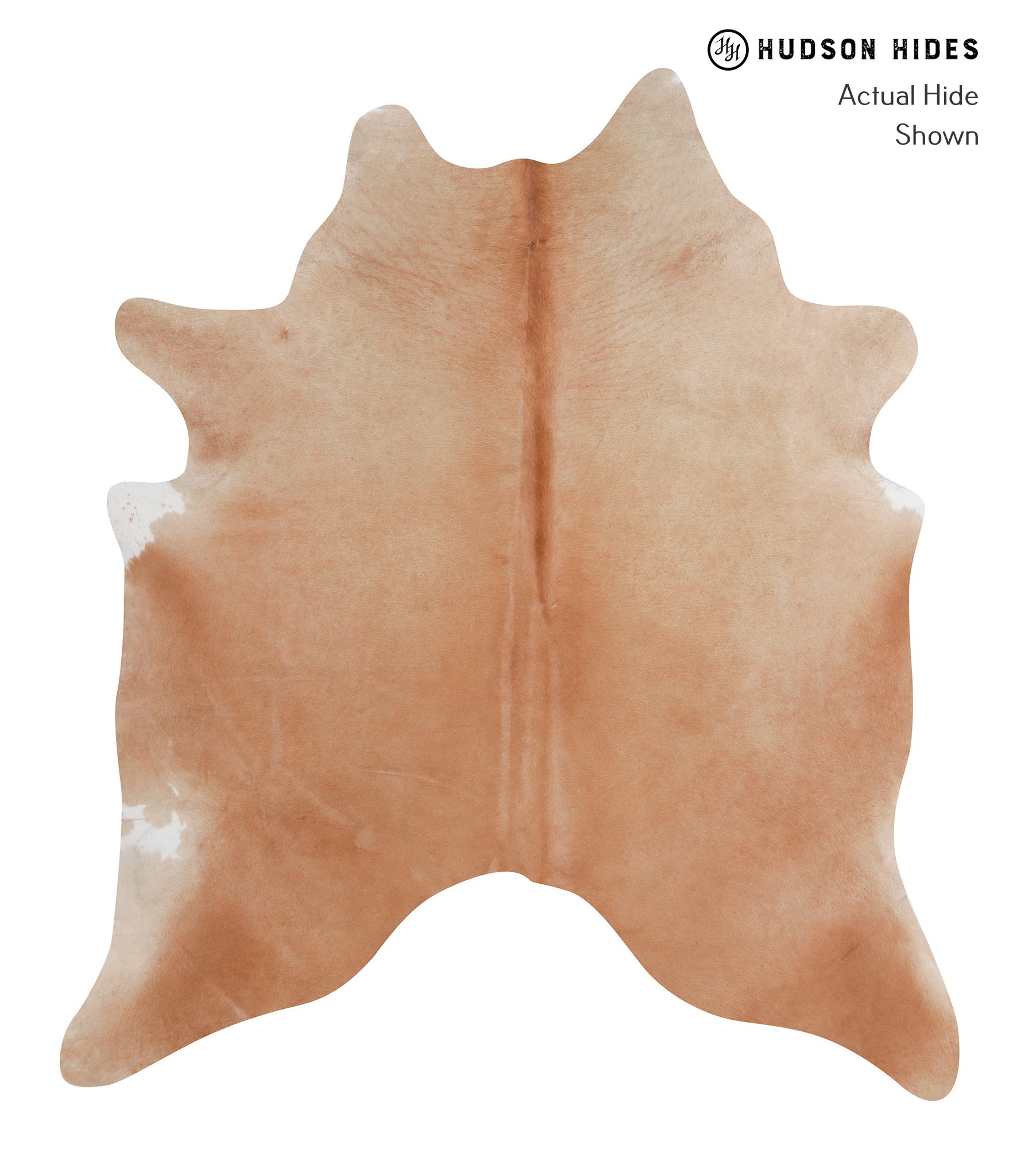 Solid Brown Cowhide Rug #A3919