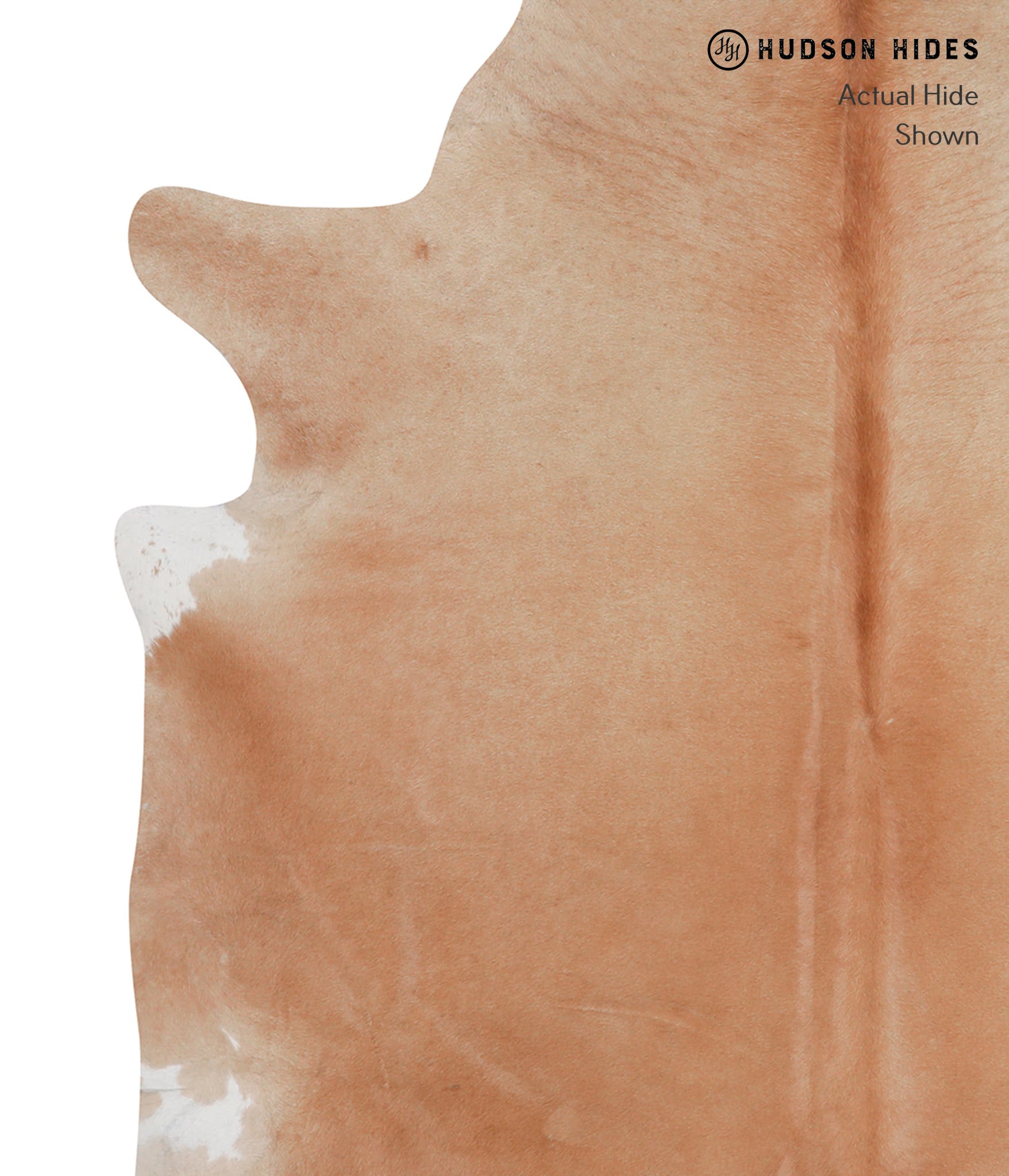 Solid Brown Cowhide Rug #A3919