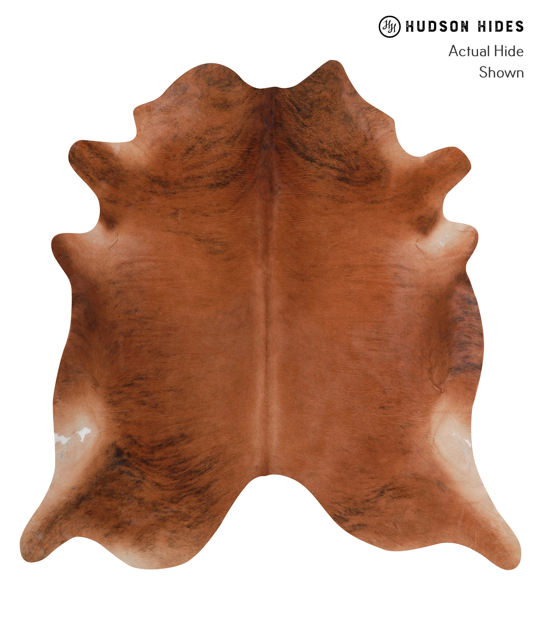 Medium Brindle Cowhide Rug #A3929