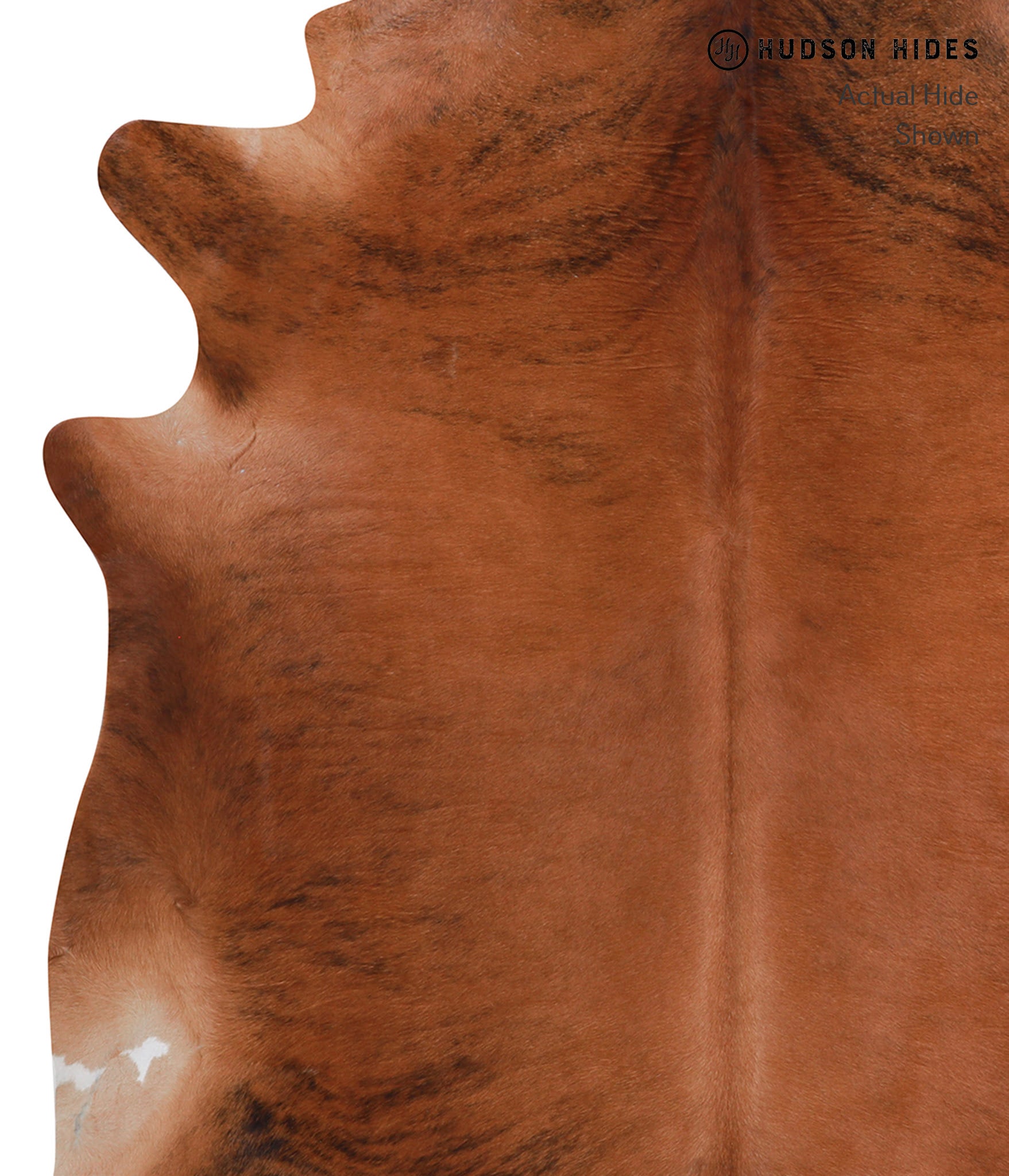 Medium Brindle Cowhide Rug #A3929