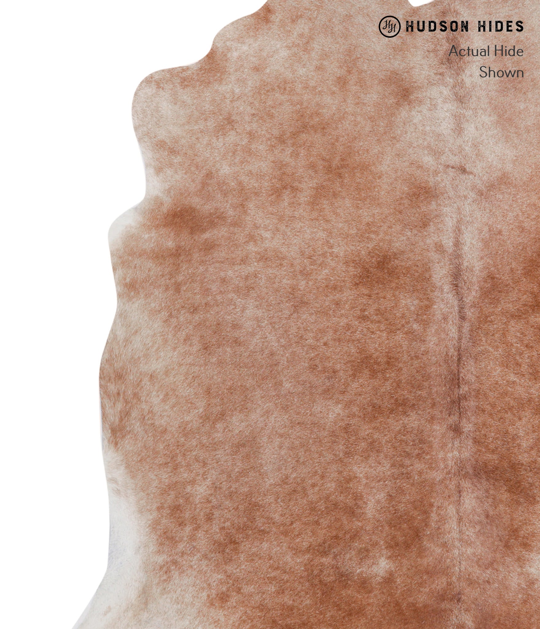 Caramel Cowhide Rug #A3938