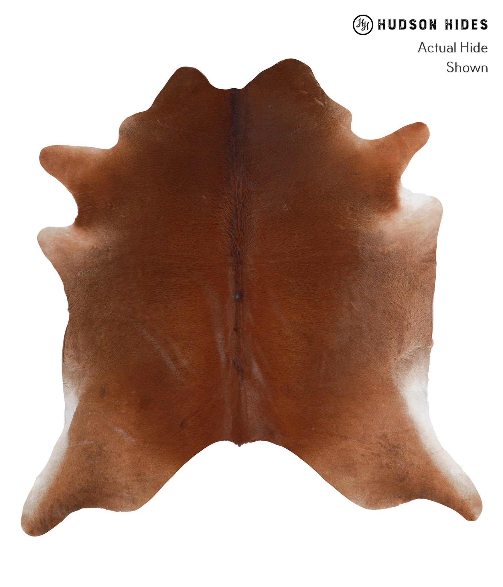 Solid Brown Cowhide Rug #A3957