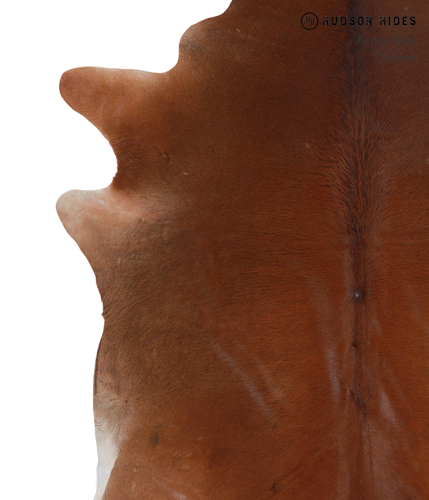 Solid Brown Cowhide Rug #A3957