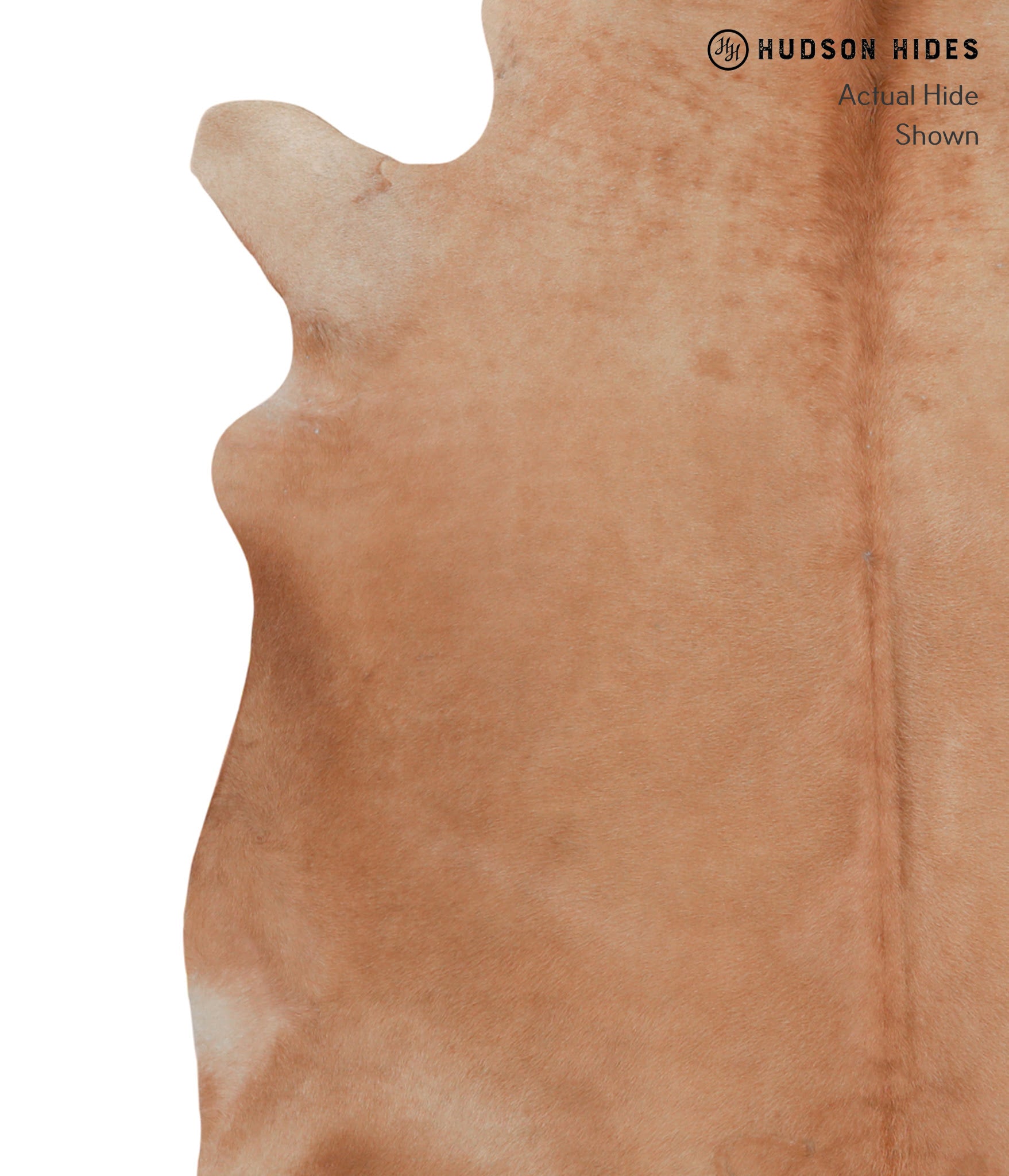 Solid Brown Cowhide Rug #A3967