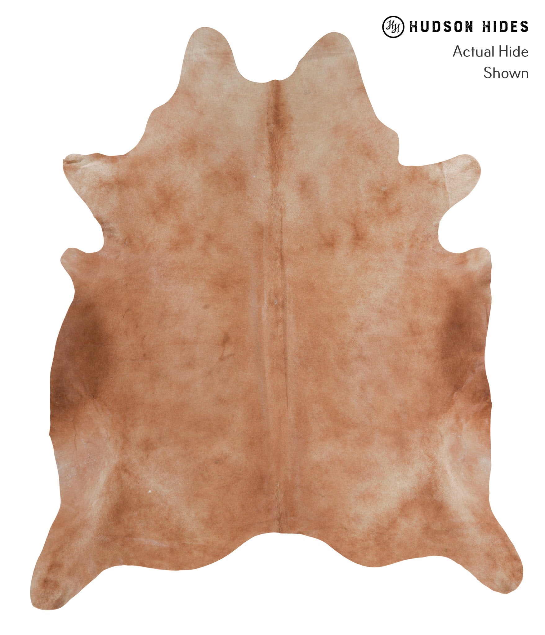 Solid Brown Cowhide Rug #A3979