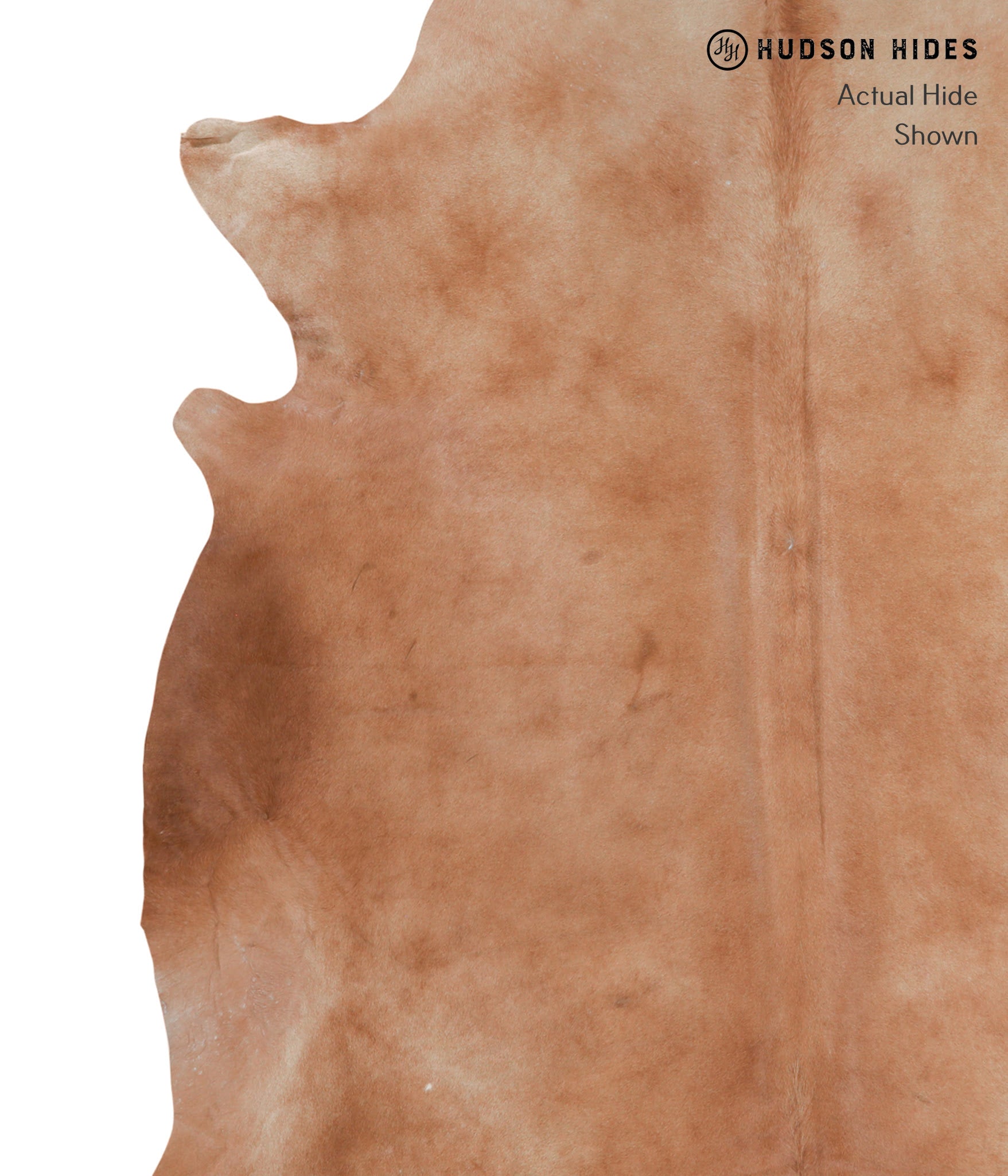 Solid Brown Cowhide Rug #A3979