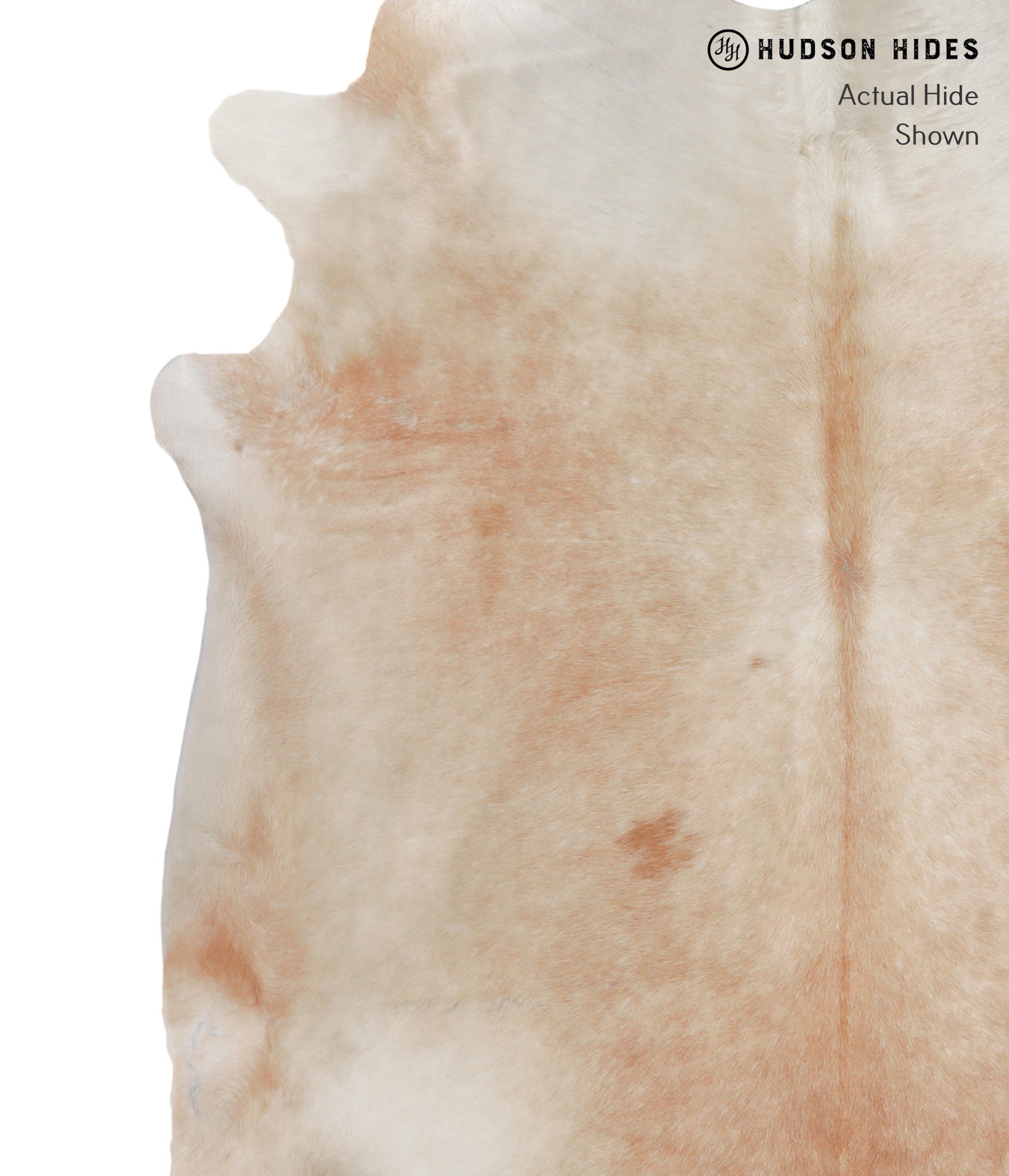 Caramel Cowhide Rug #A4069