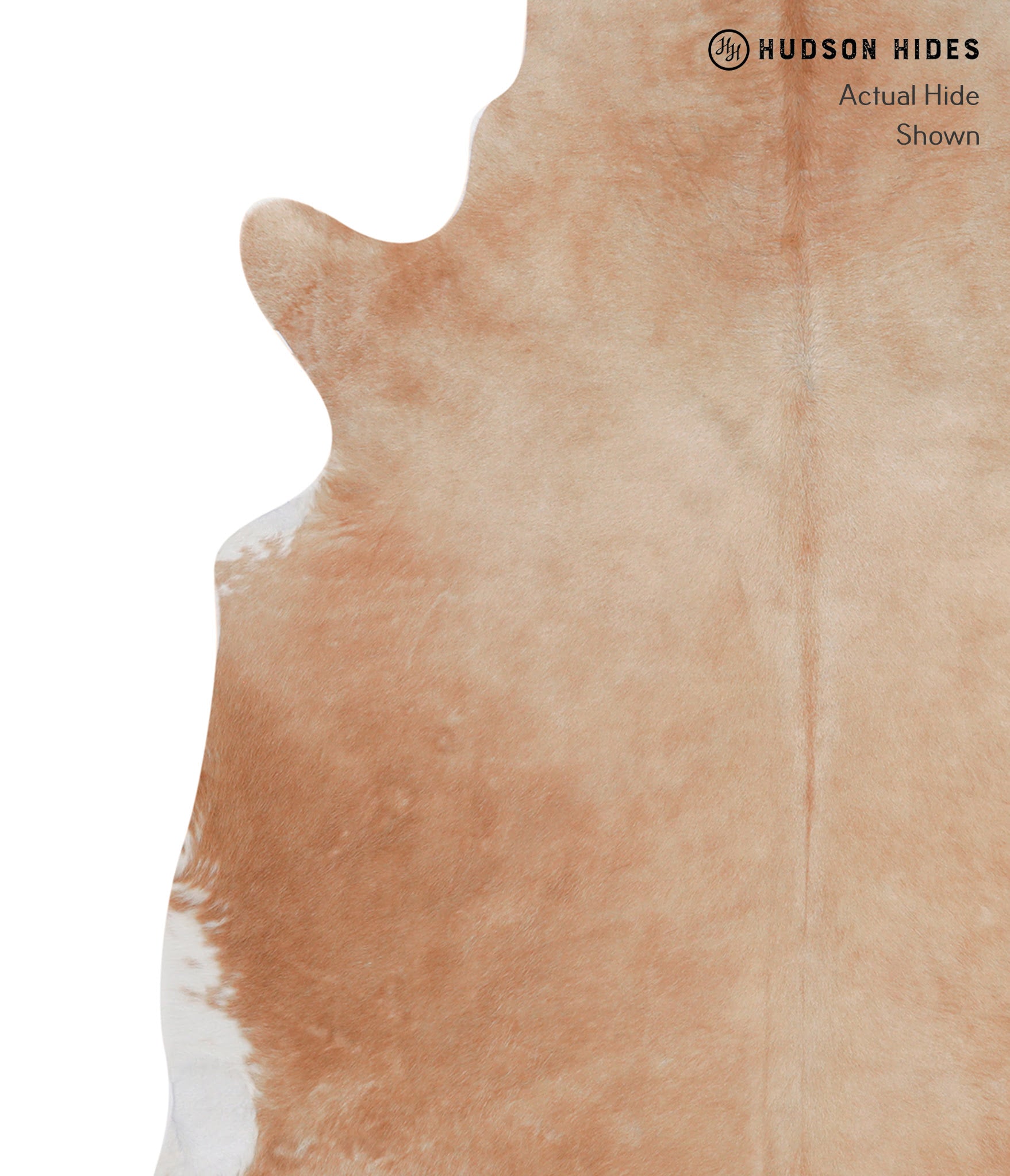 Beige Cowhide Rug #A4113