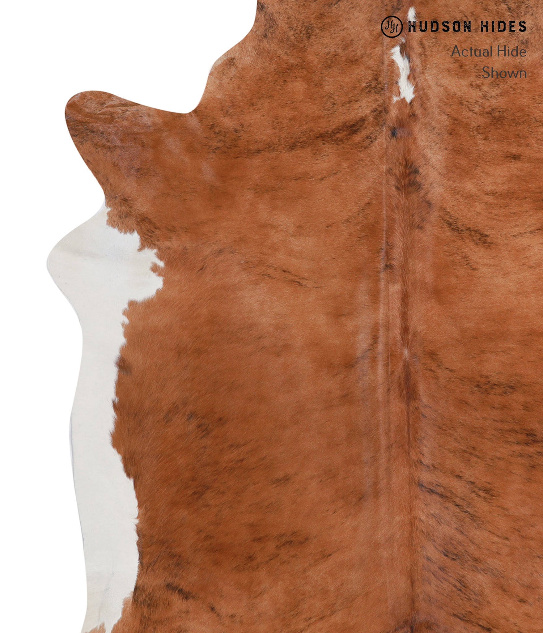 Medium Brindle Cowhide Rug #A4116