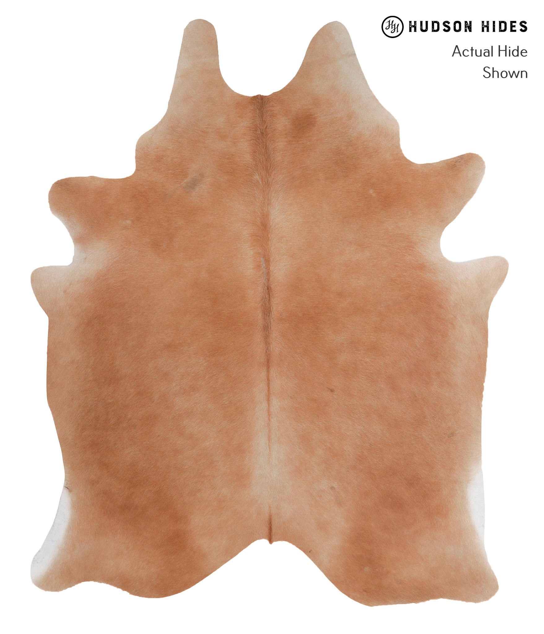 Solid Brown Cowhide Rug #A4125