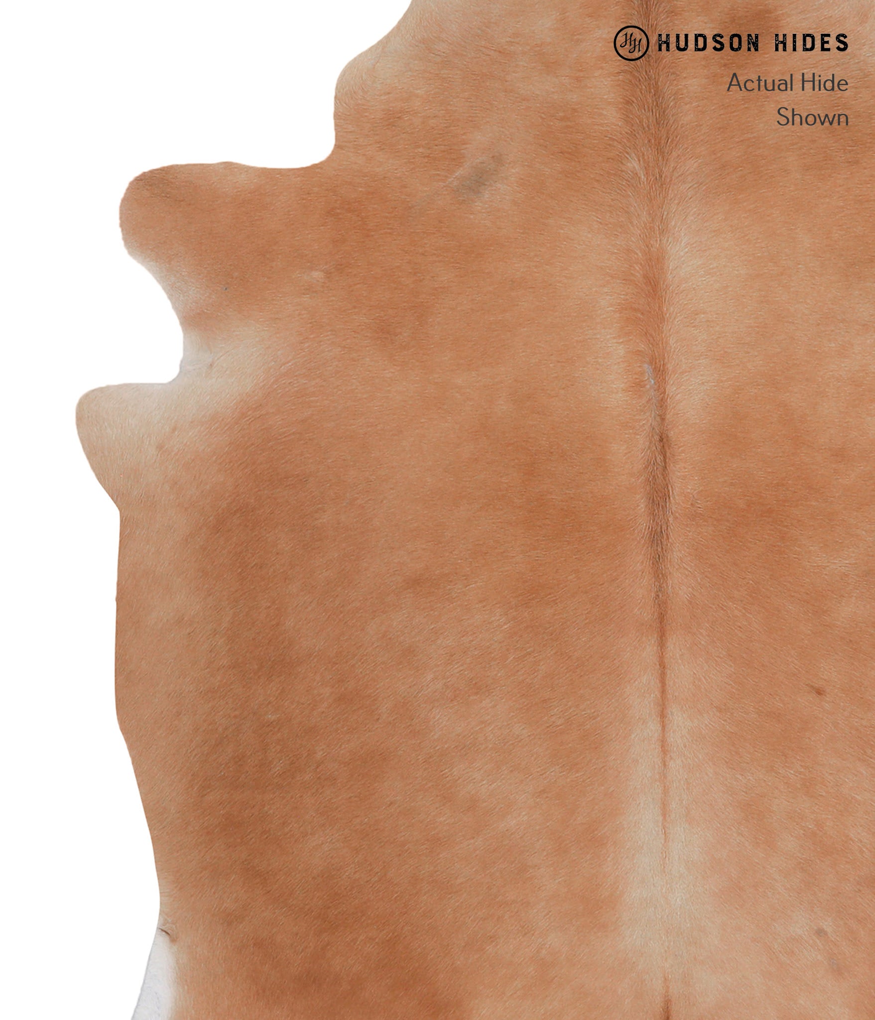 Solid Brown Cowhide Rug #A4125