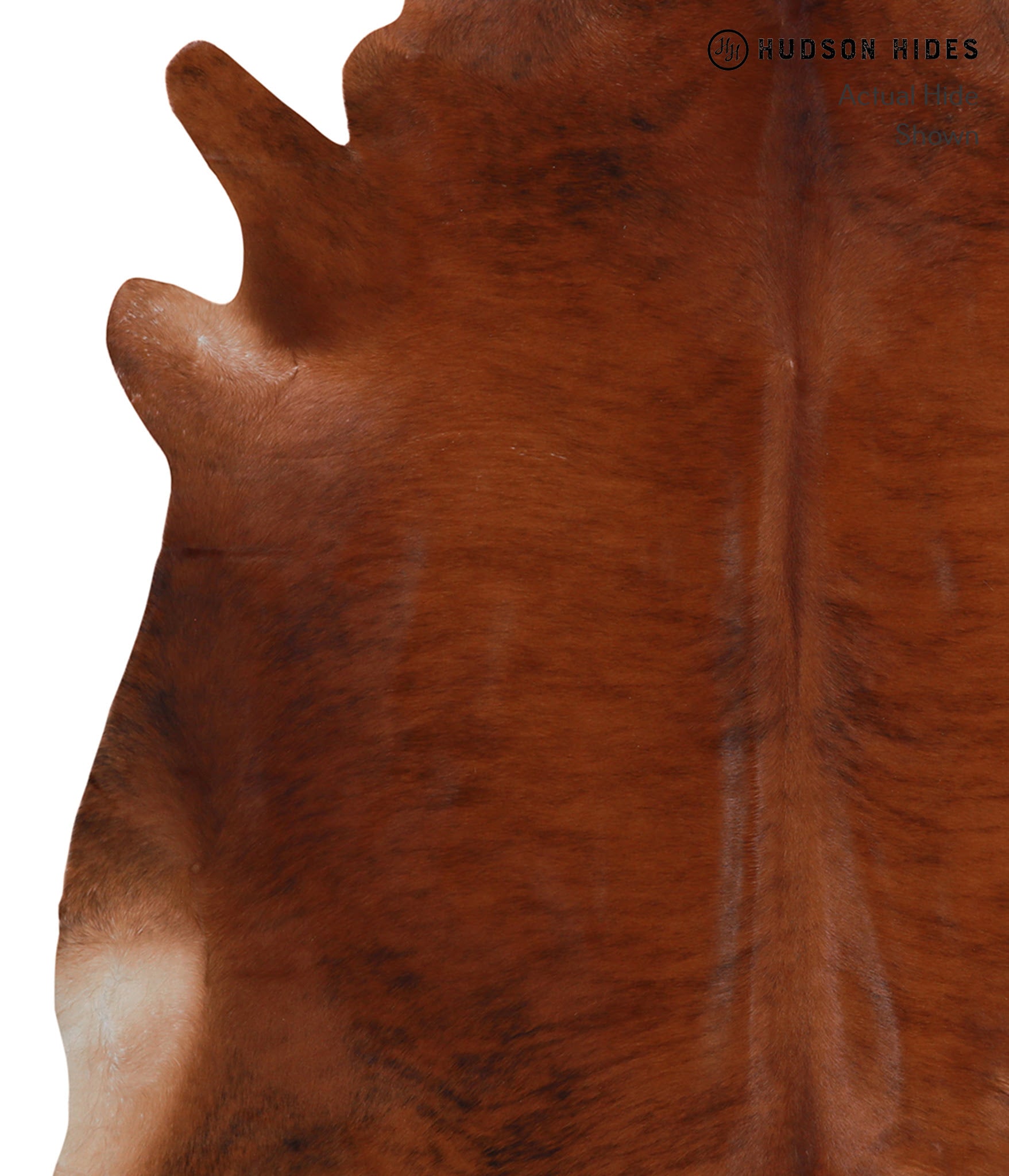 Medium Brindle Cowhide Rug #A4139