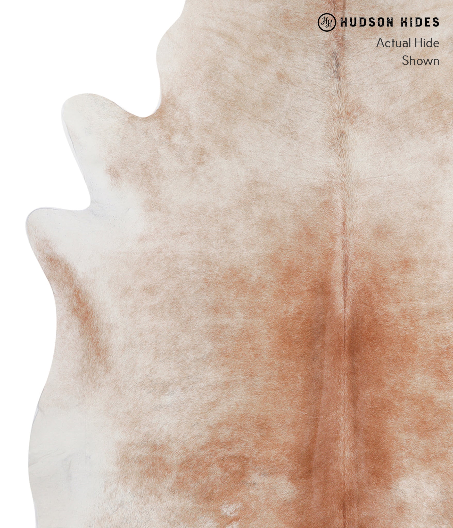 Caramel Cowhide Rug #A4153